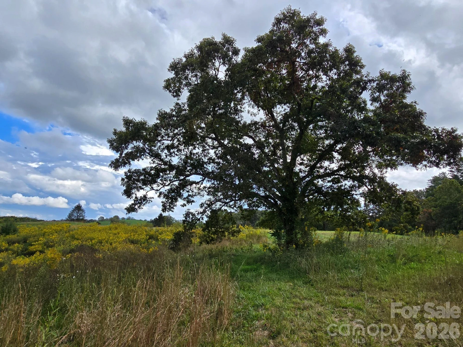 128 Cook Lane - Photo 3