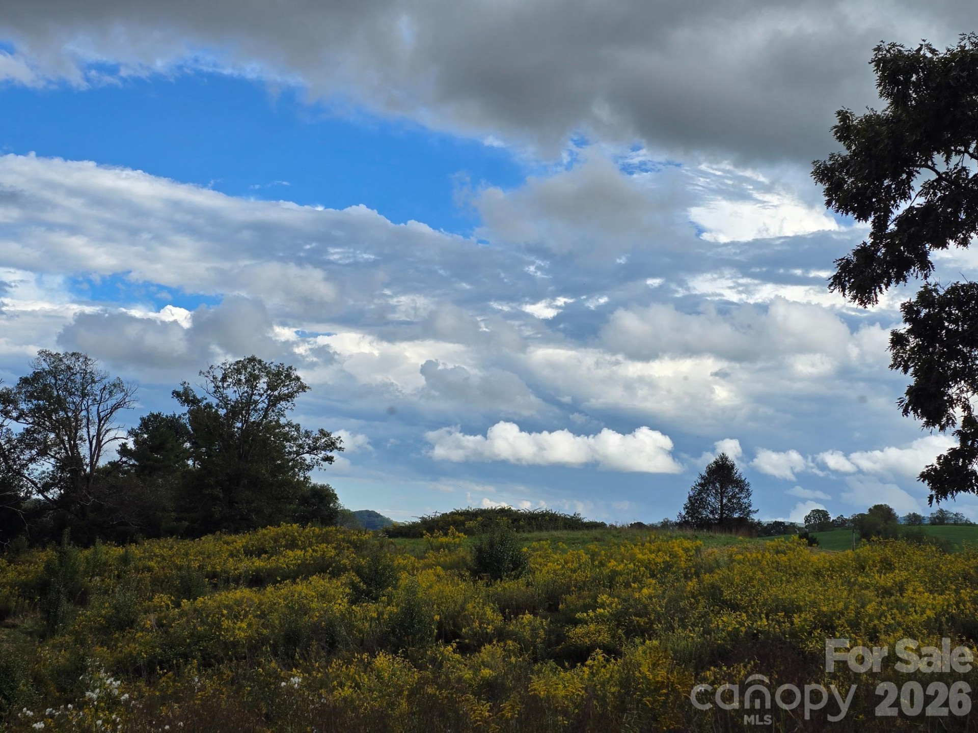 128 Cook Lane - Photo 29