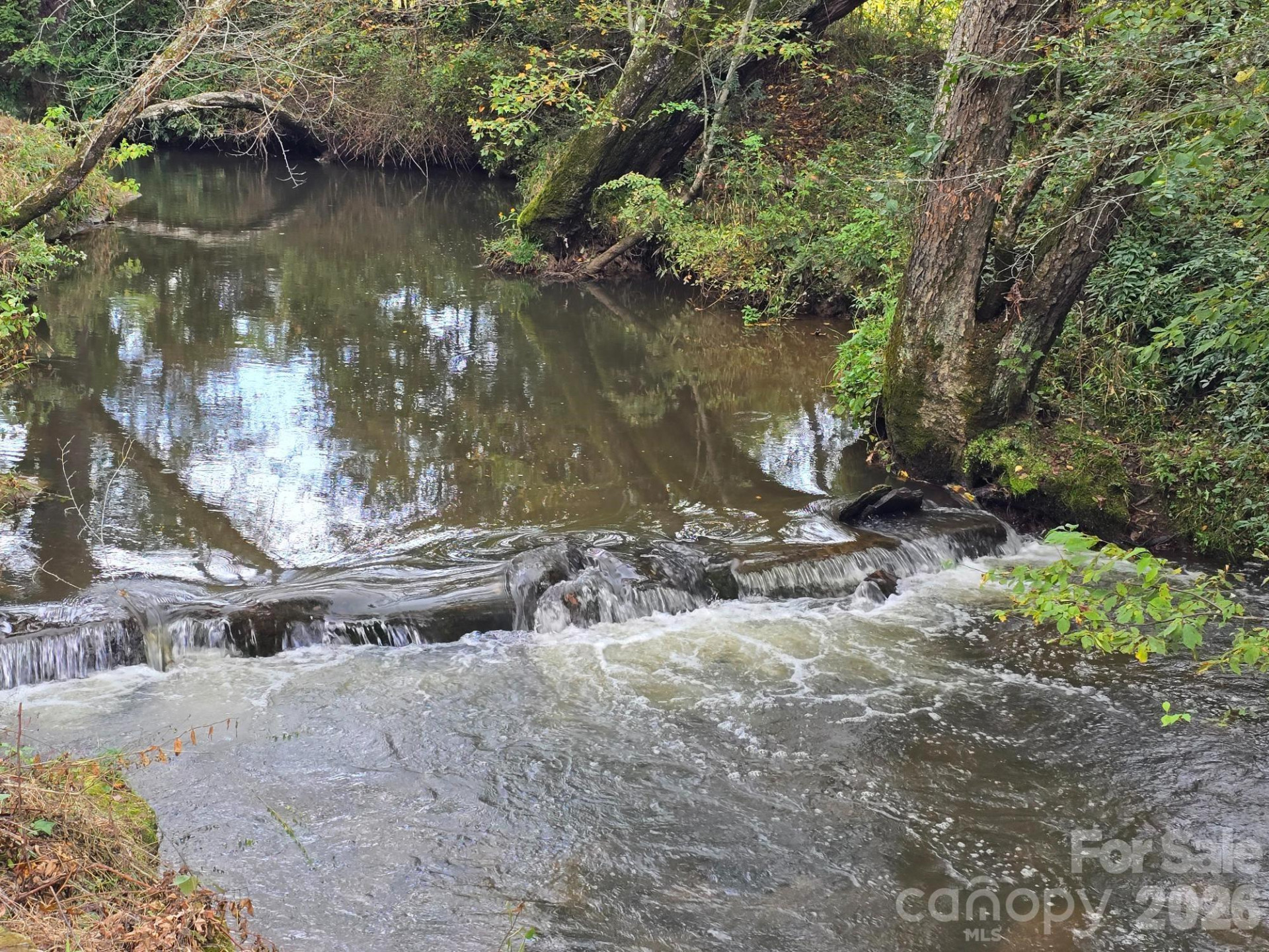 128 Cook Lane - Photo 5