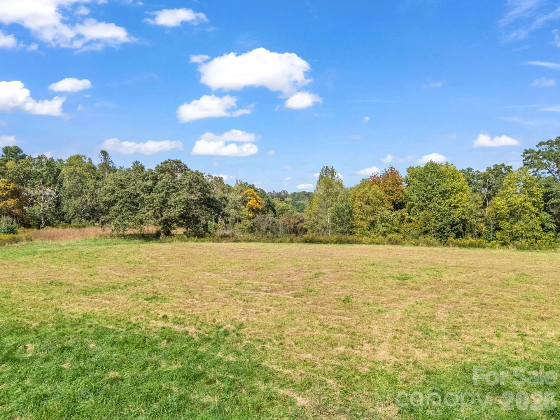 128 Cook Lane - Photo 63