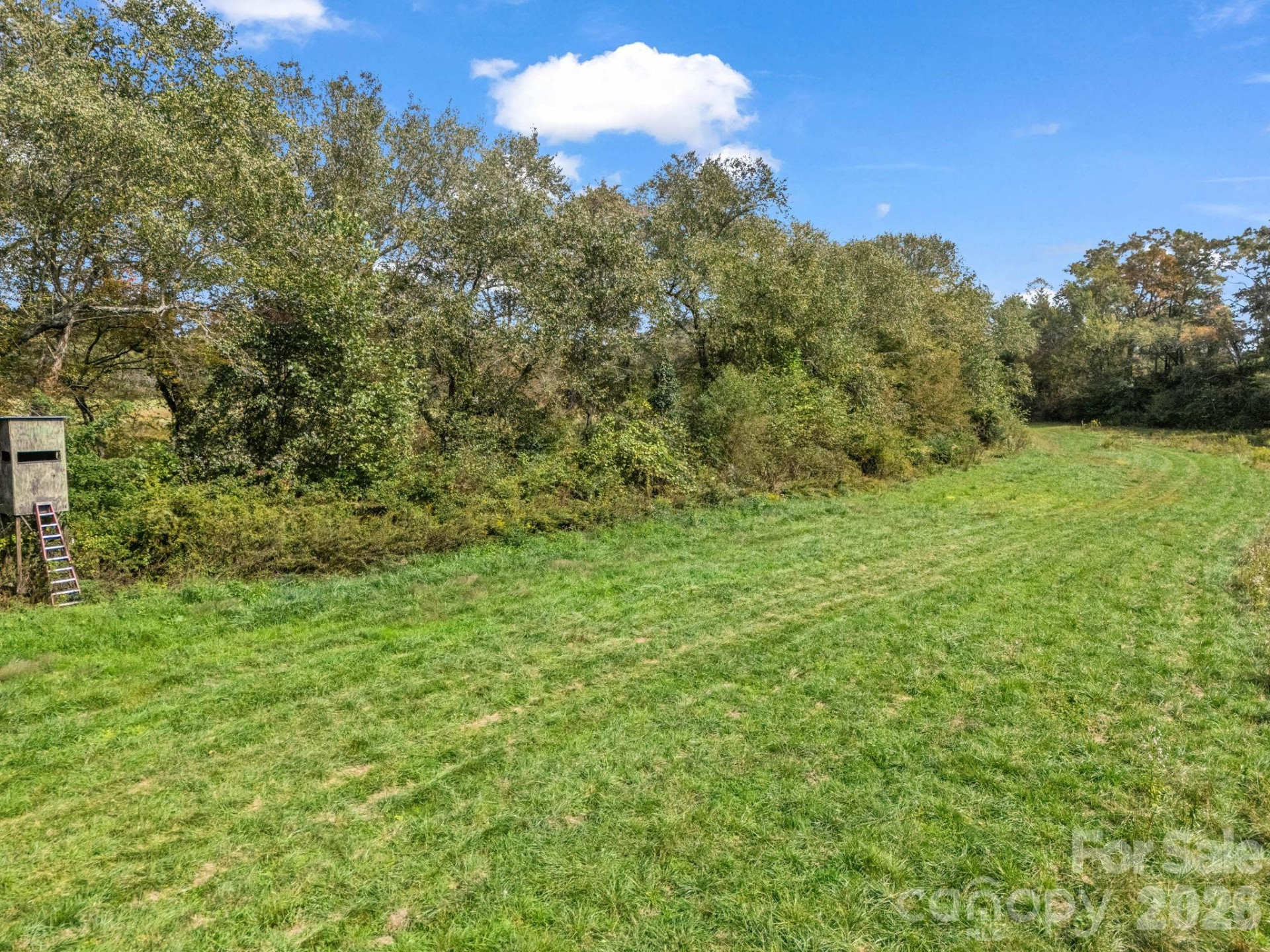 128 Cook Lane - Photo 77