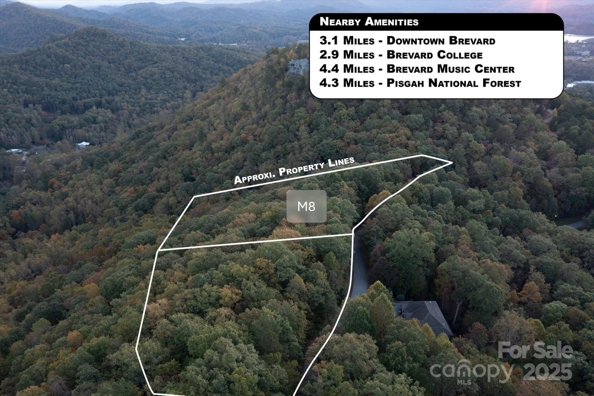 TBD Pine Mountain Trail #M8 - Photo 12