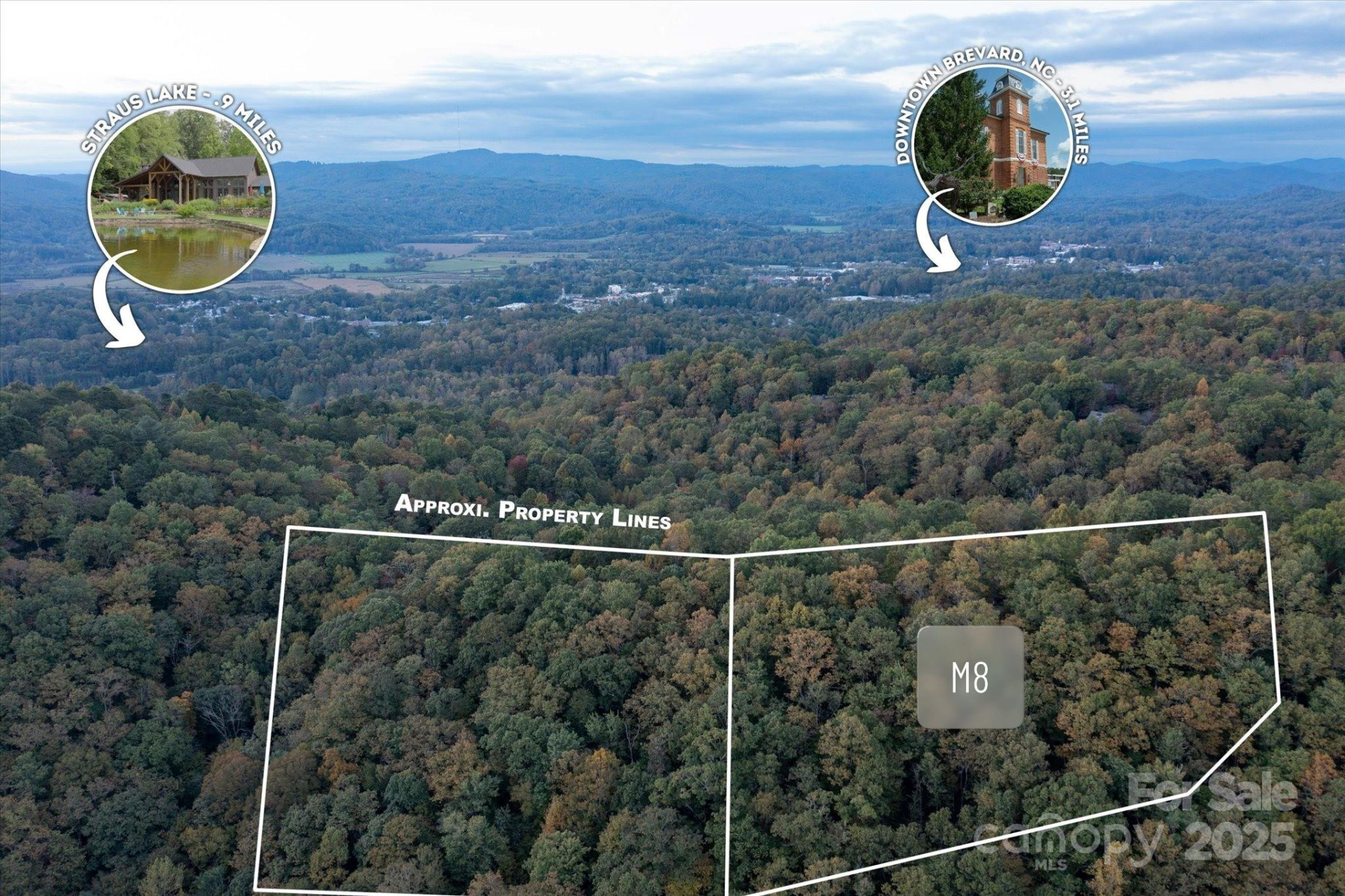 TBD Pine Mountain Trail #M8 - Photo 13