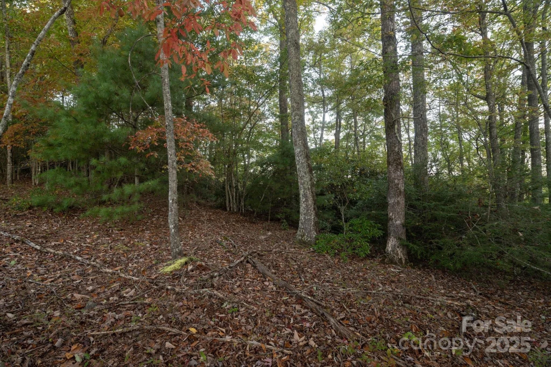 TBD Pine Mountain Trail #M8 - Photo 3