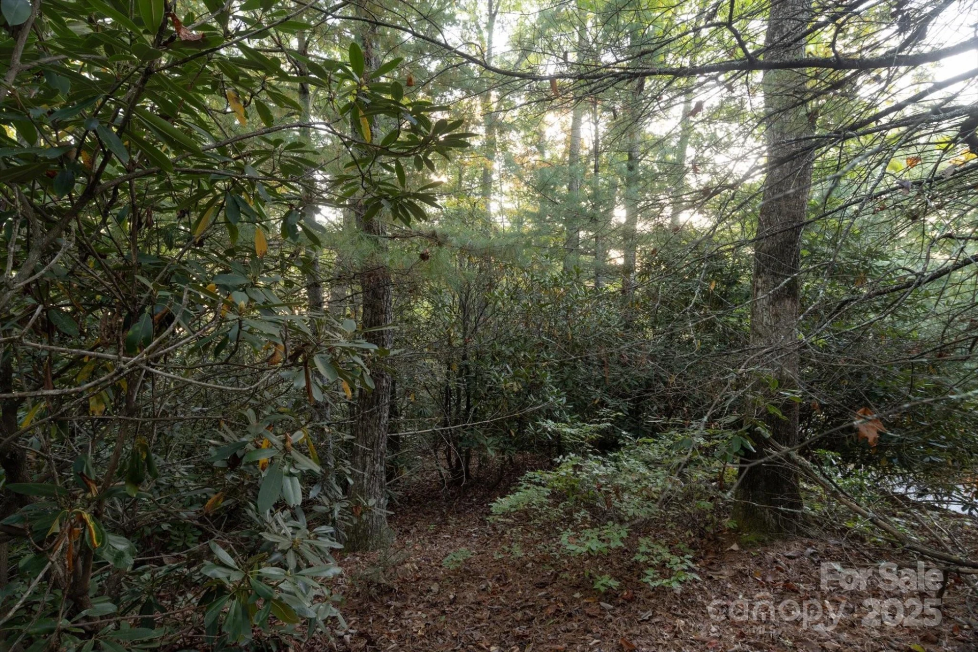 TBD Pine Mountain Trail #M8 - Photo 4