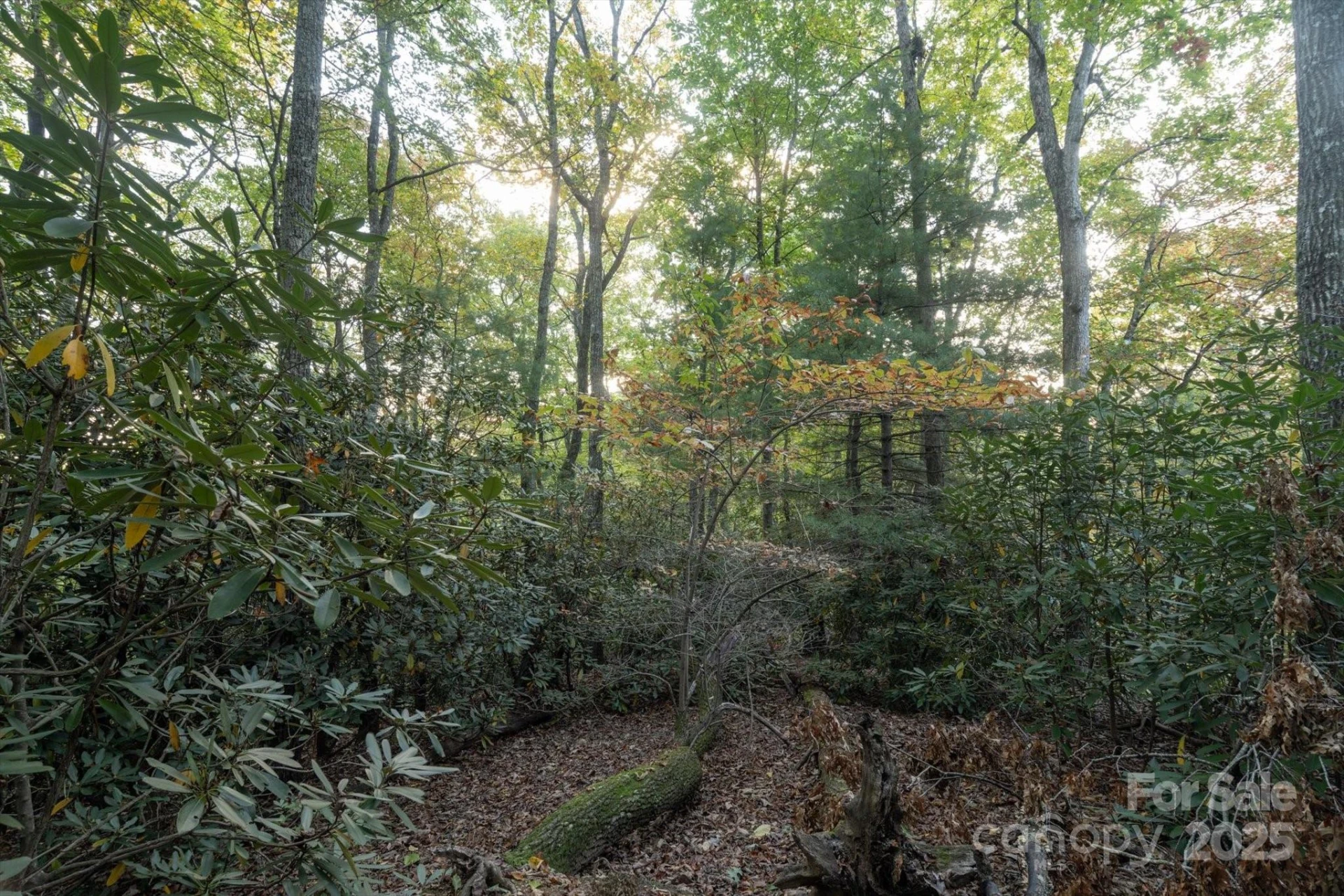 TBD Pine Mountain Trail #M8 - Photo 7