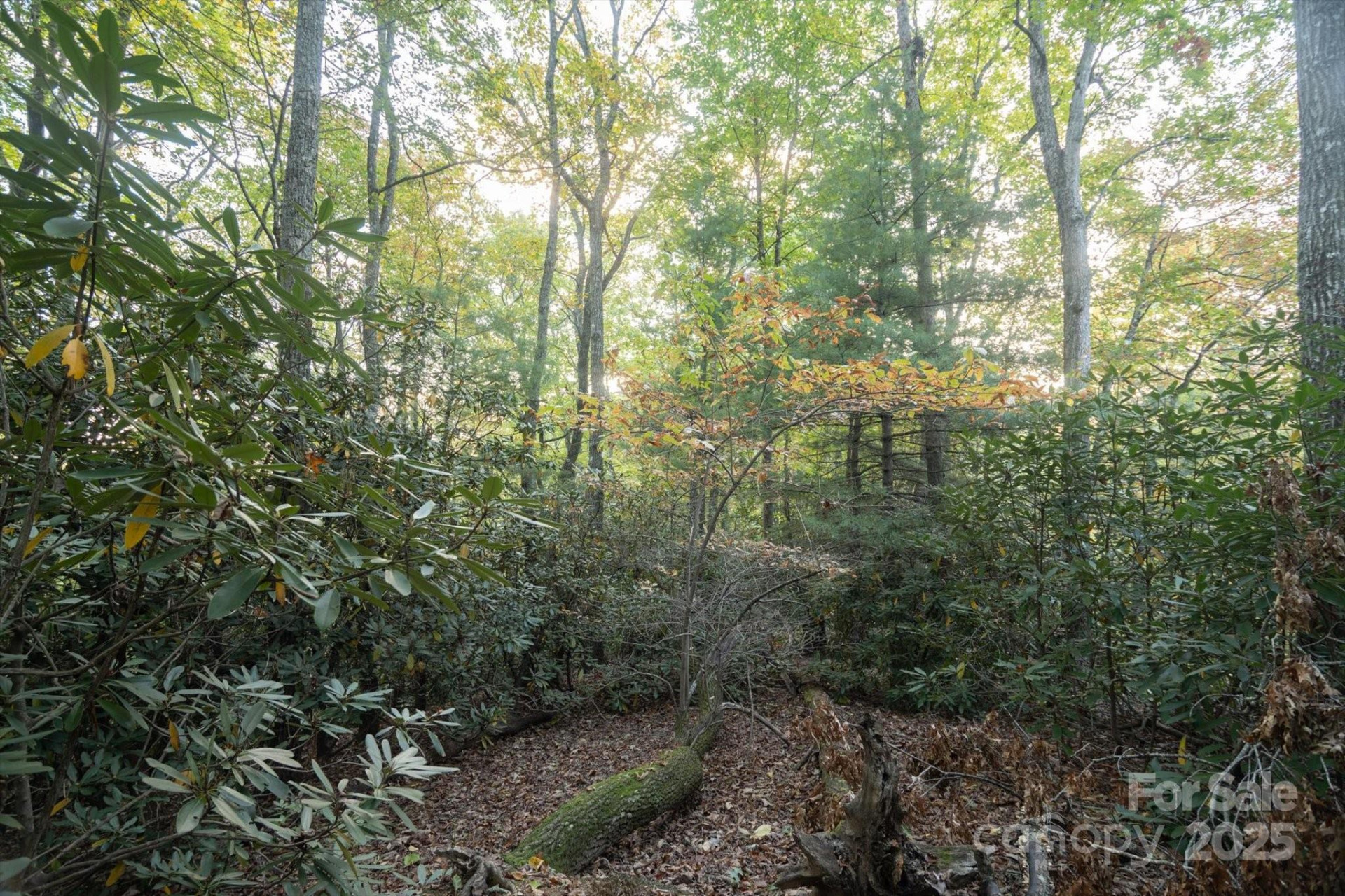 TBD Pine Mountain Trail #M8 - Photo 8