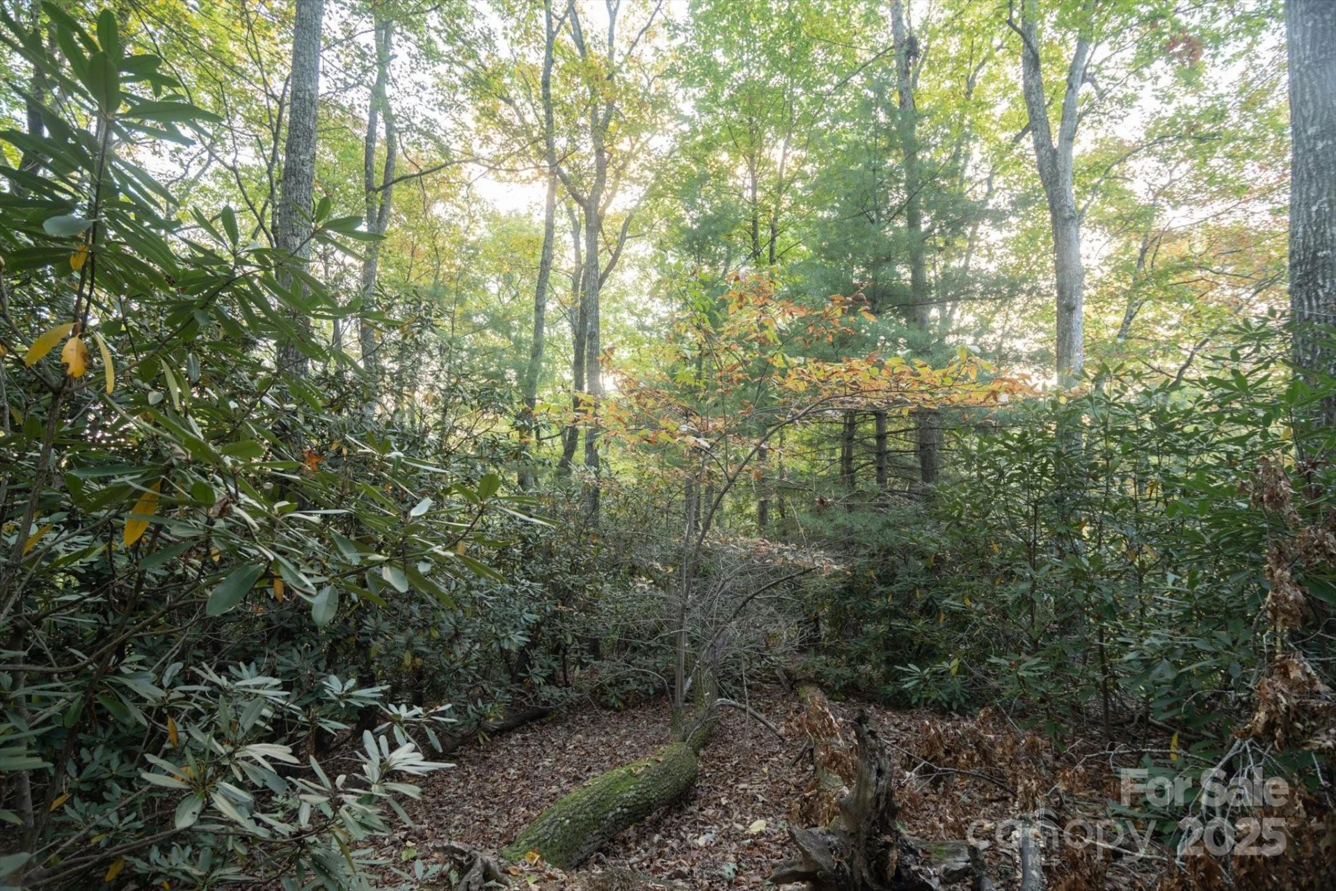 TBD Pine Mountain Trail #M8 - Photo 8