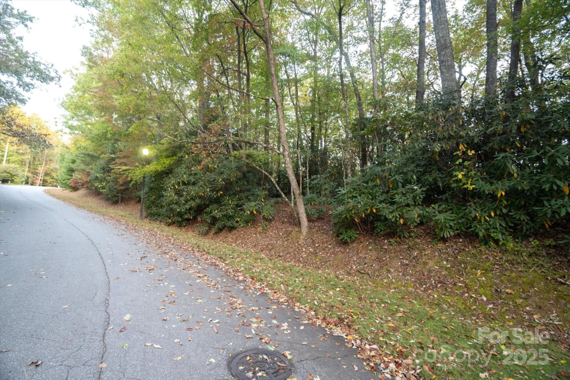 TBD Pine Mountain Trail #M8 - Photo 9
