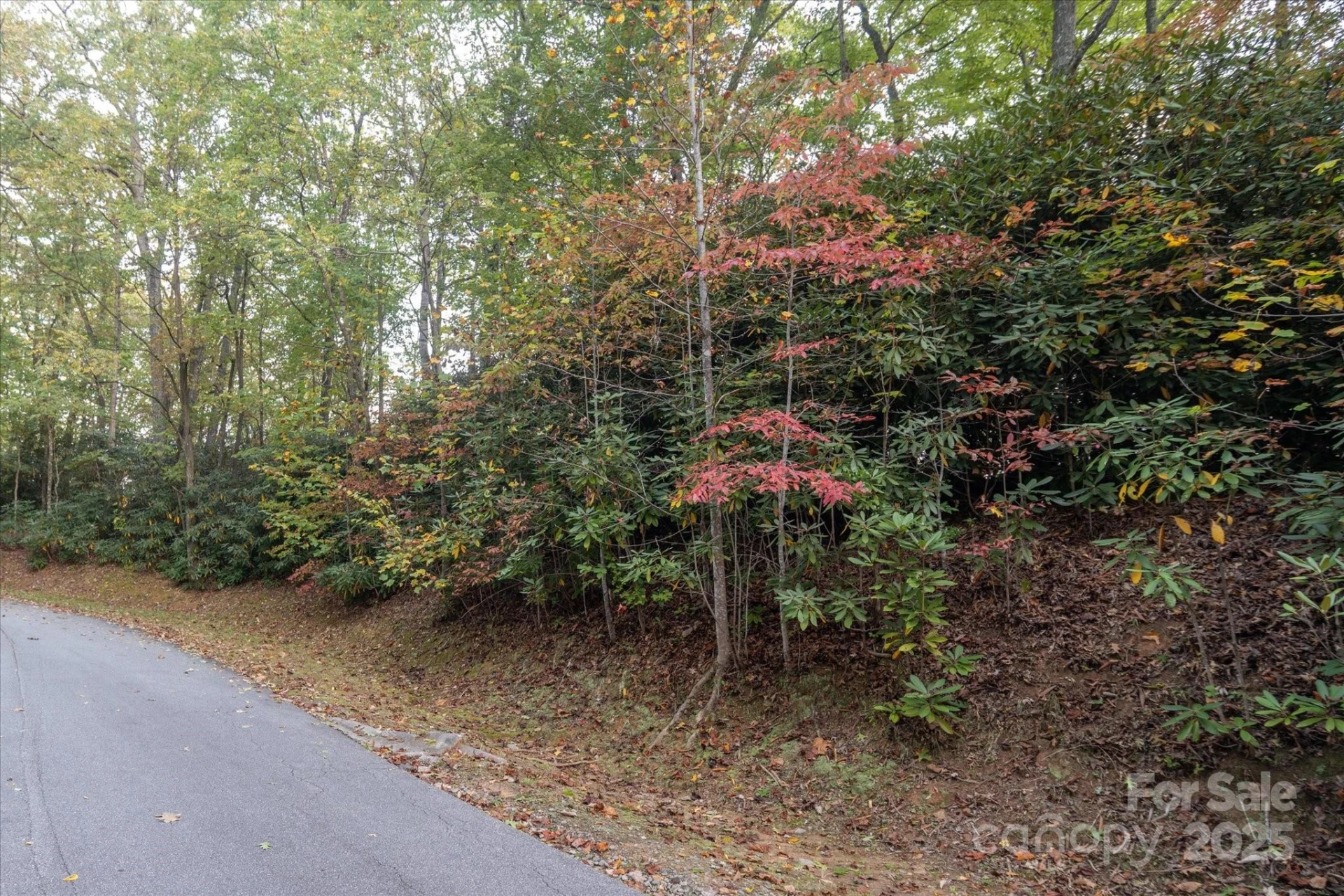 TBD Pine Mountain Trail #M8 - Photo 10