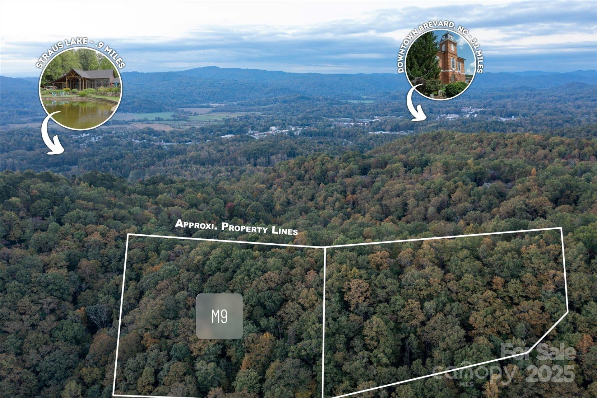 TBD Pine Mountain Trail #M9 - Photo 2