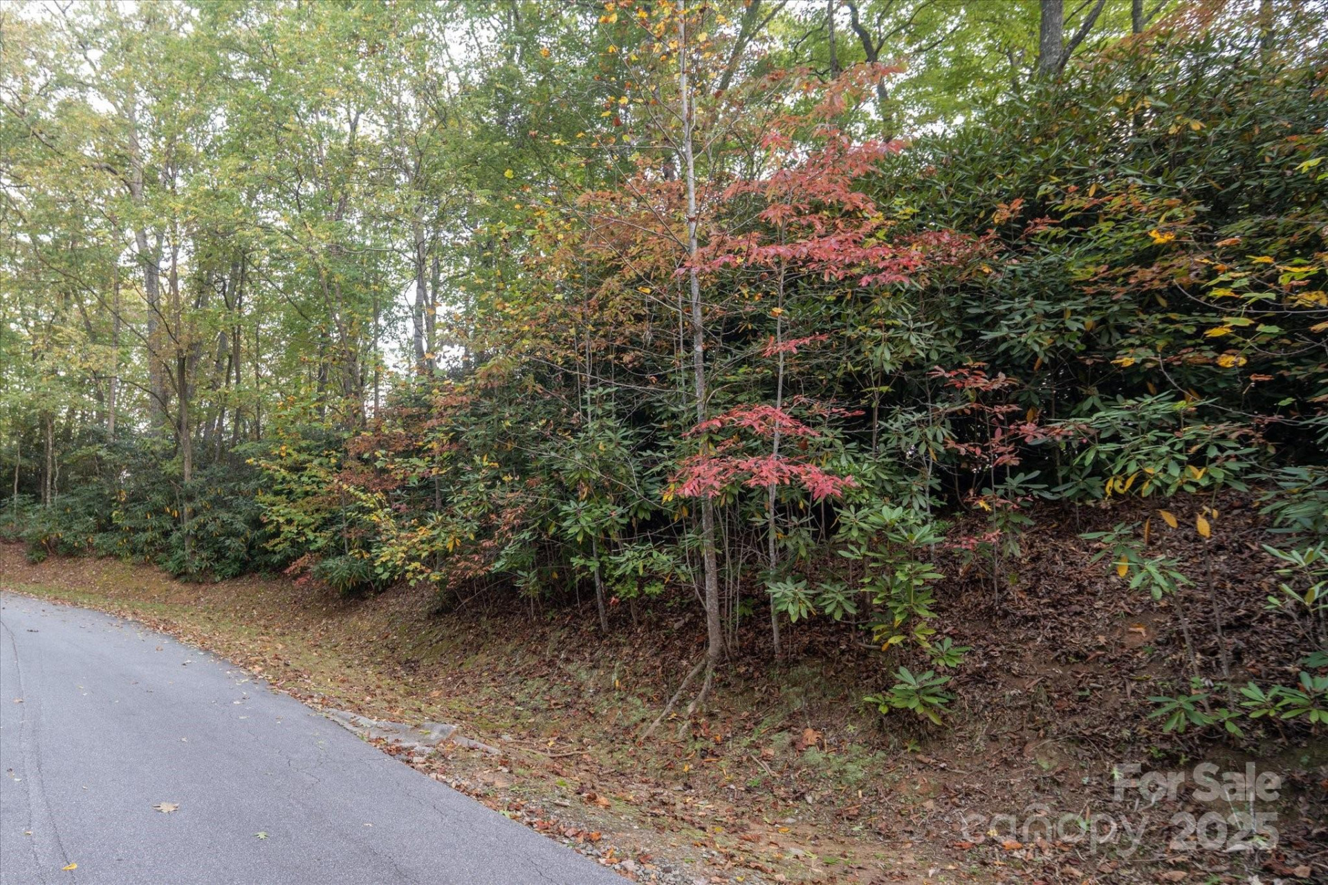 TBD Pine Mountain Trail #M9 - Photo 12