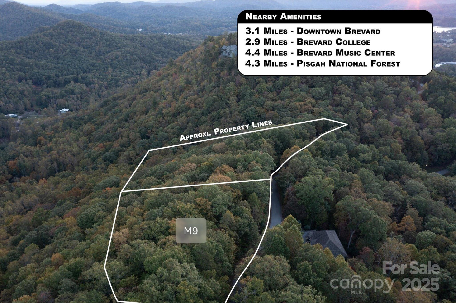 TBD Pine Mountain Trail #M9 - Photo 3