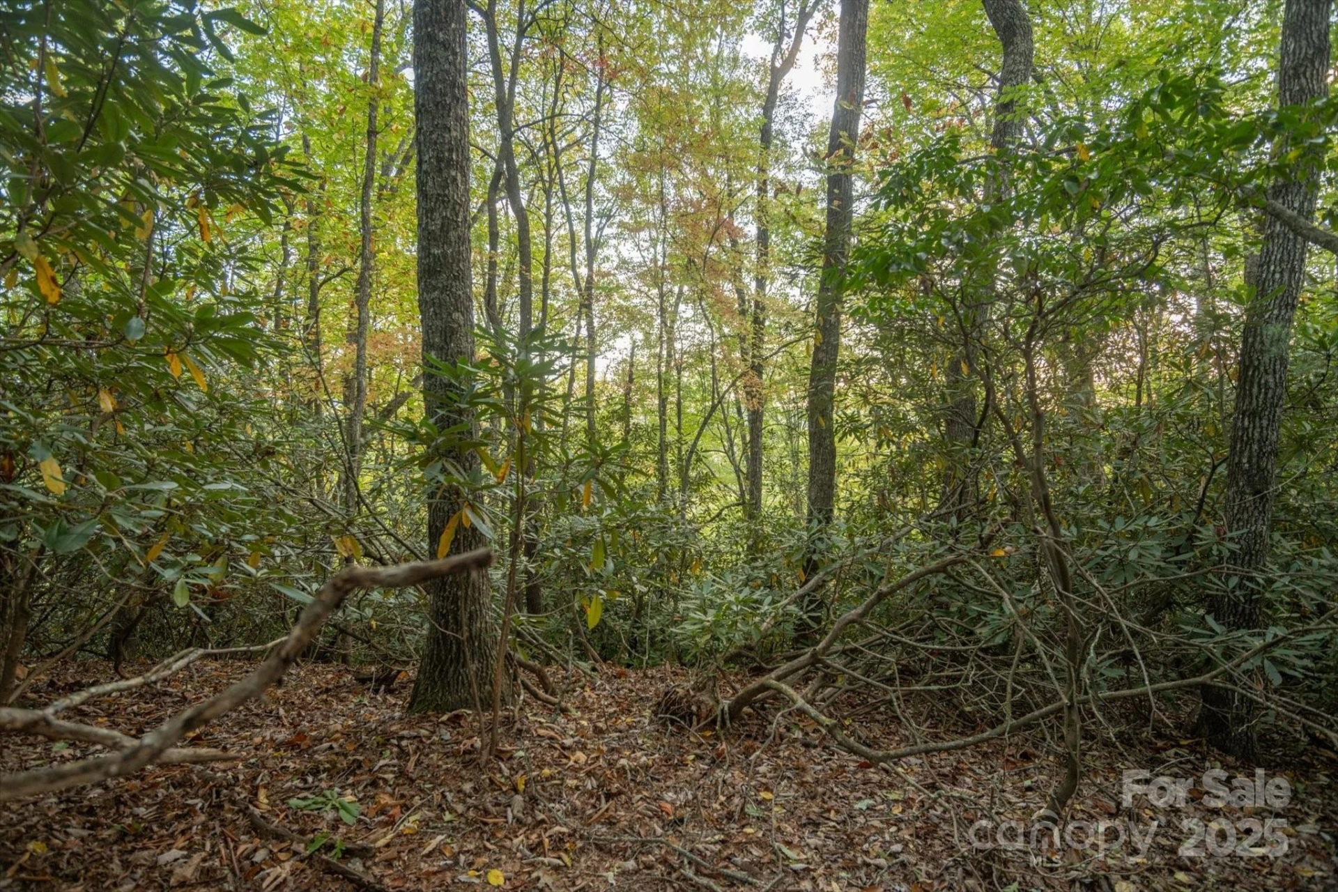 TBD Pine Mountain Trail #M9 - Photo 8