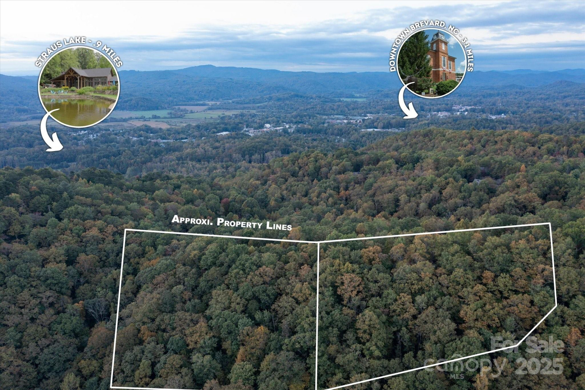 TBD Pine Mountain Trail #M8 & M9 - Photo 13