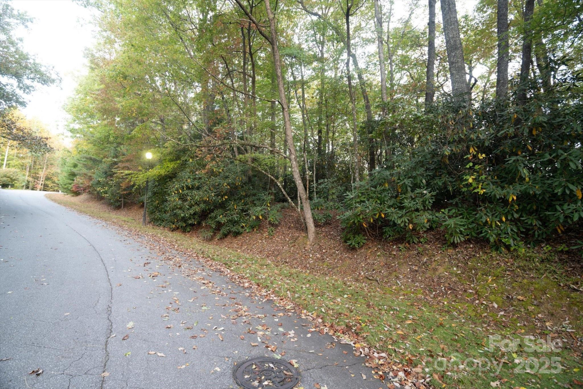 TBD Pine Mountain Trail #M8 & M9 - Photo 4