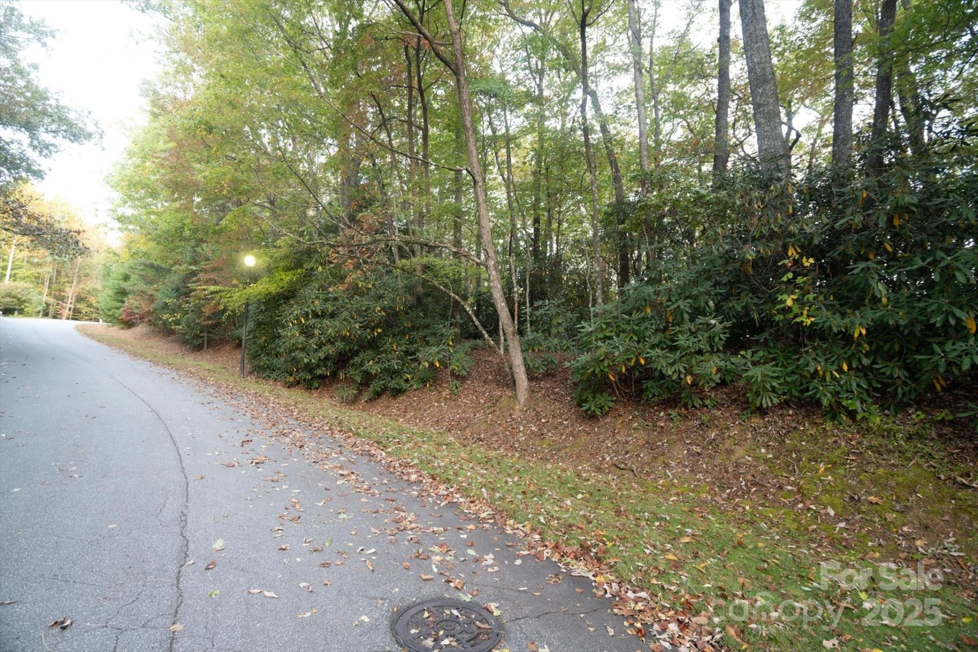 TBD Pine Mountain Trail #M8 & M9 - Photo 4