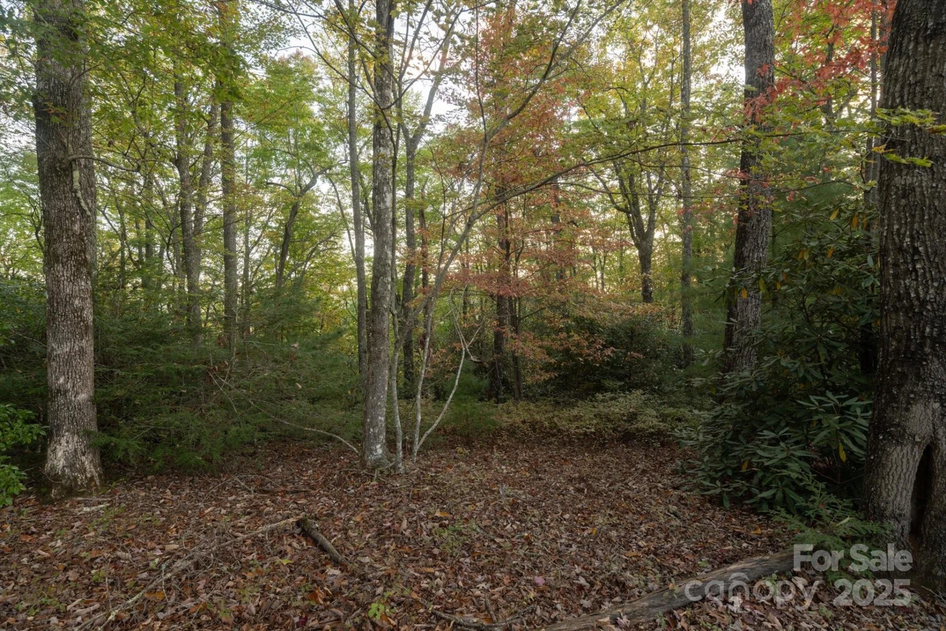 TBD Pine Mountain Trail #M8 & M9 - Photo 5