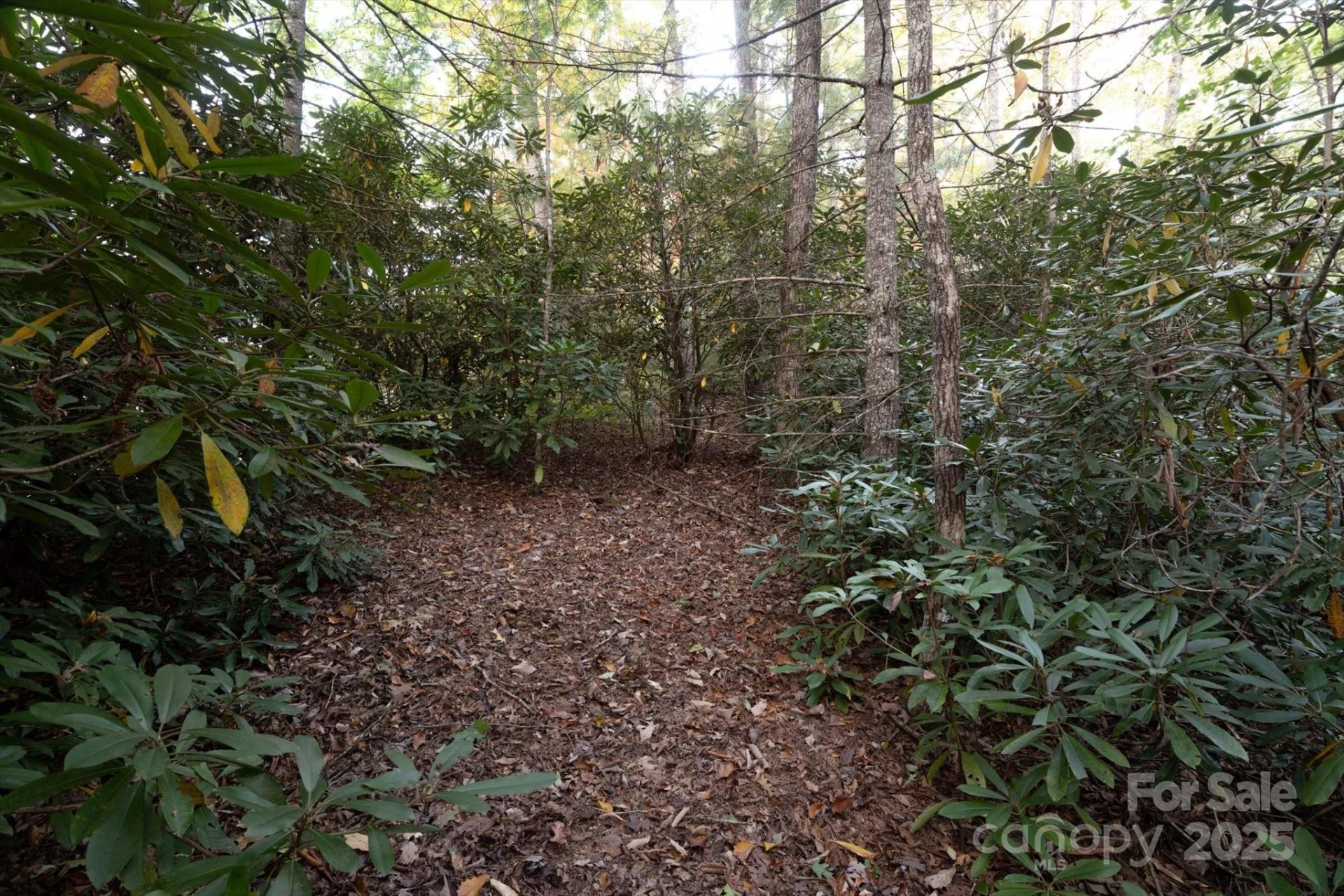 TBD Pine Mountain Trail #M8 & M9 - Photo 8