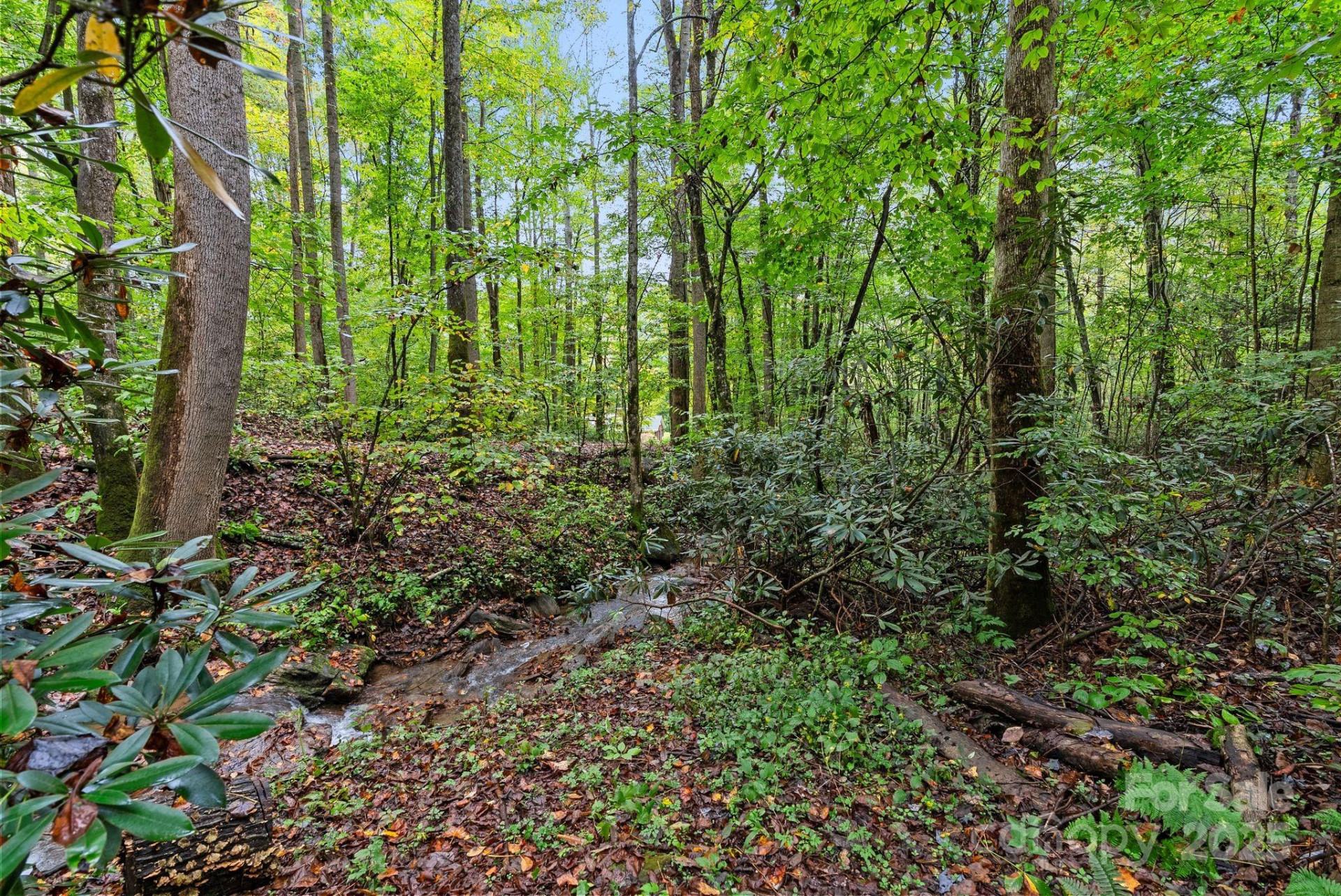 340 Henry Dingus Way - Photo 41