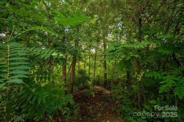 Lot 34 Line Drive, Forest City, NC, 28043