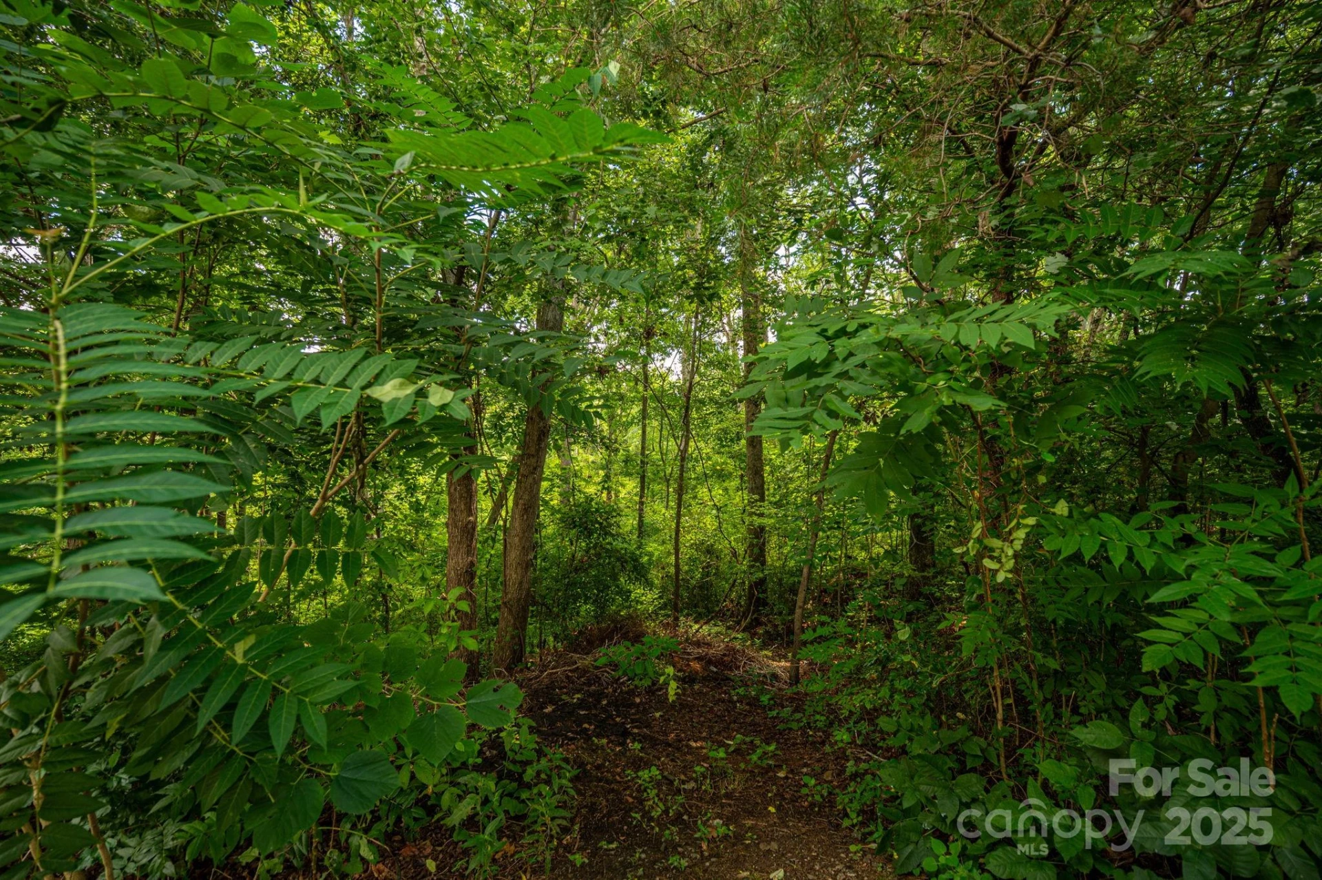 Lot 34 Line Drive