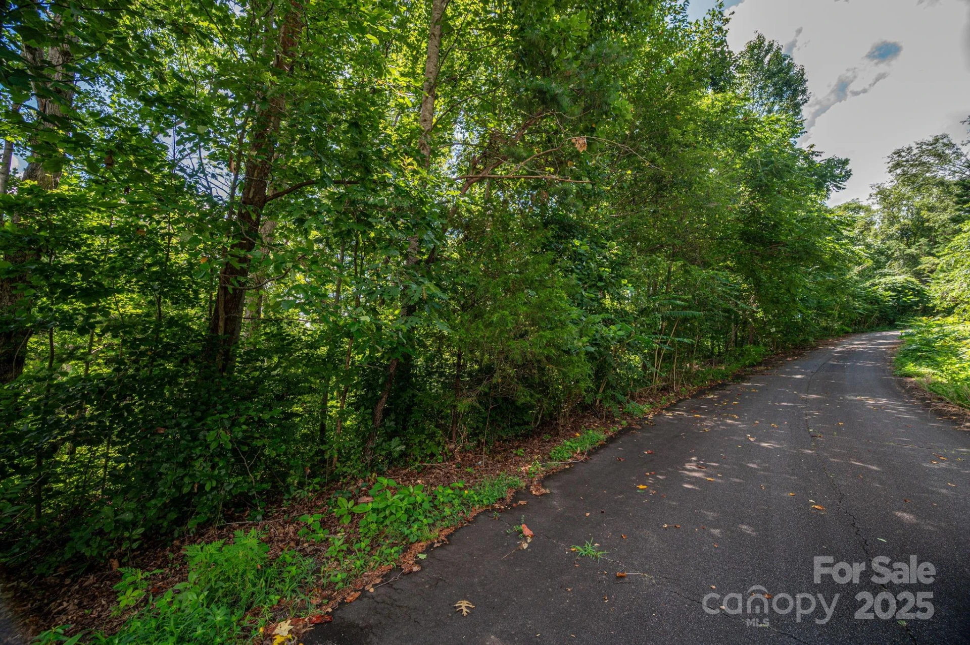 Lot 34 Line Drive - Photo 5