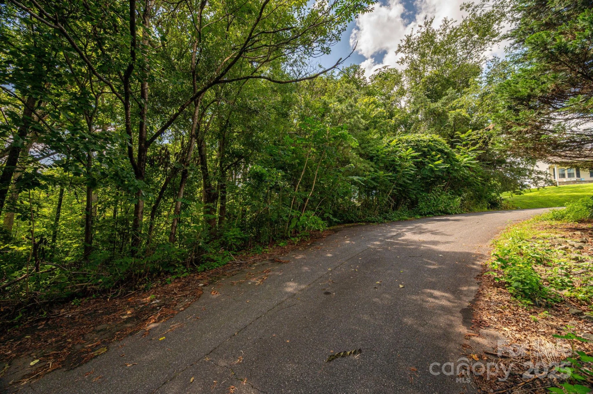 Lot 19 Line Drive - Photo 2