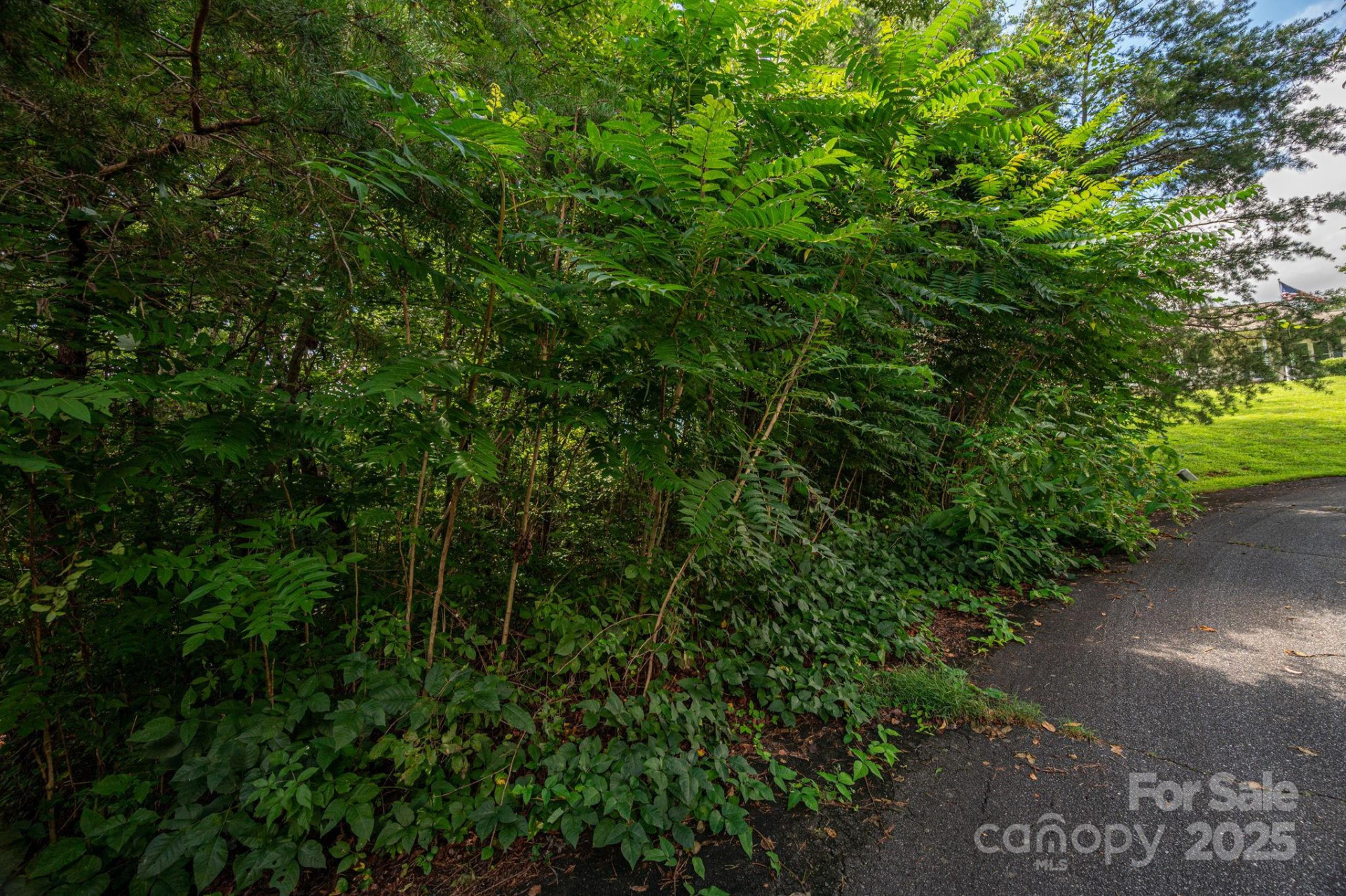 Lot 19 Line Drive - Photo 3