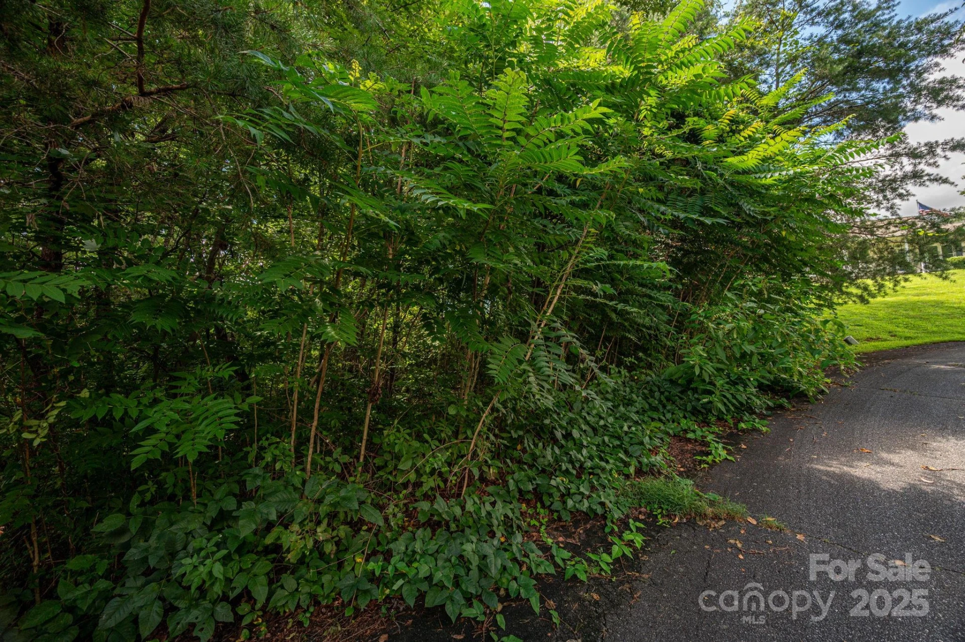 Lot 19 Line Drive - Photo 3