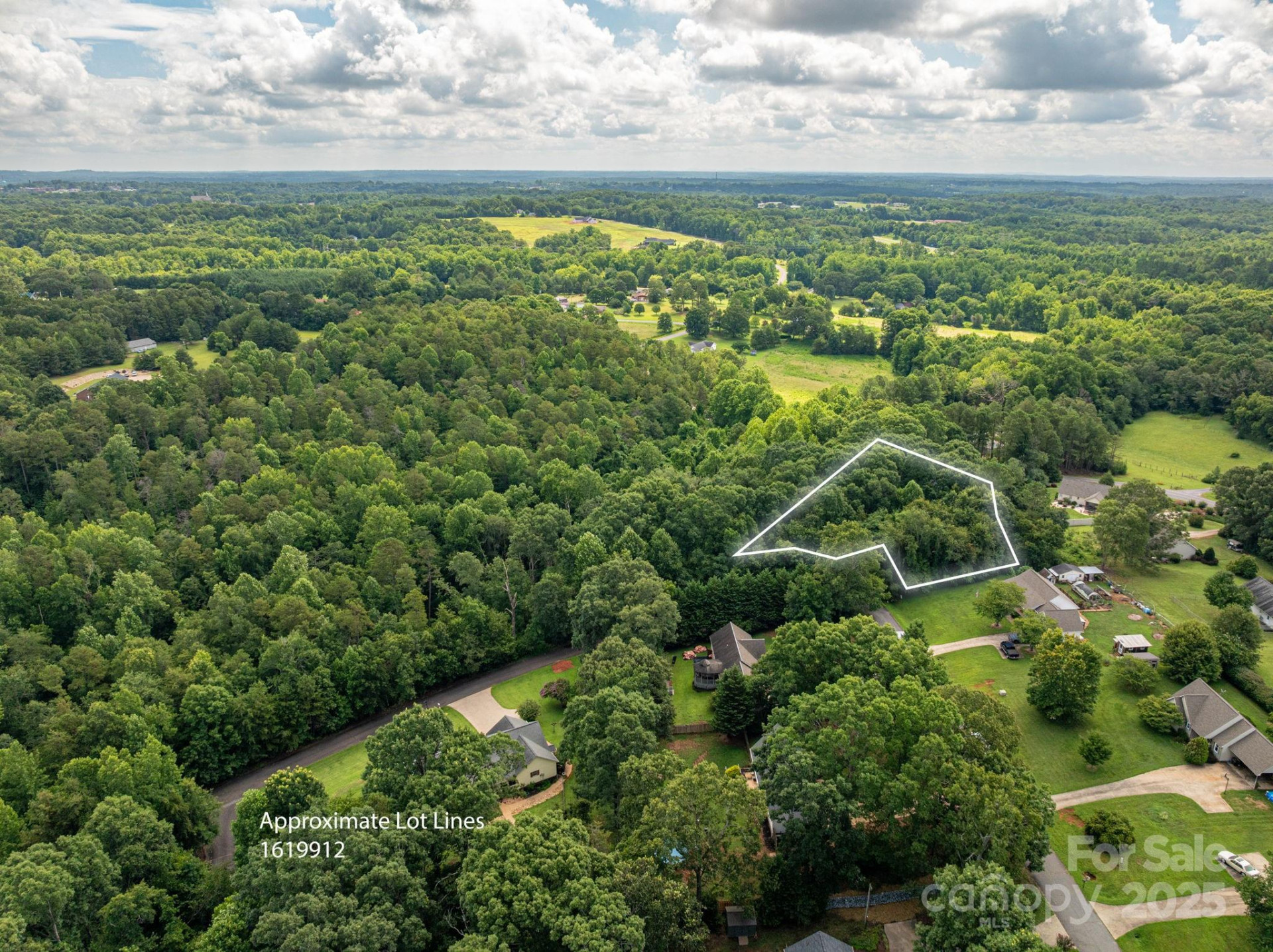 Lot 19 Line Drive - Photo 6