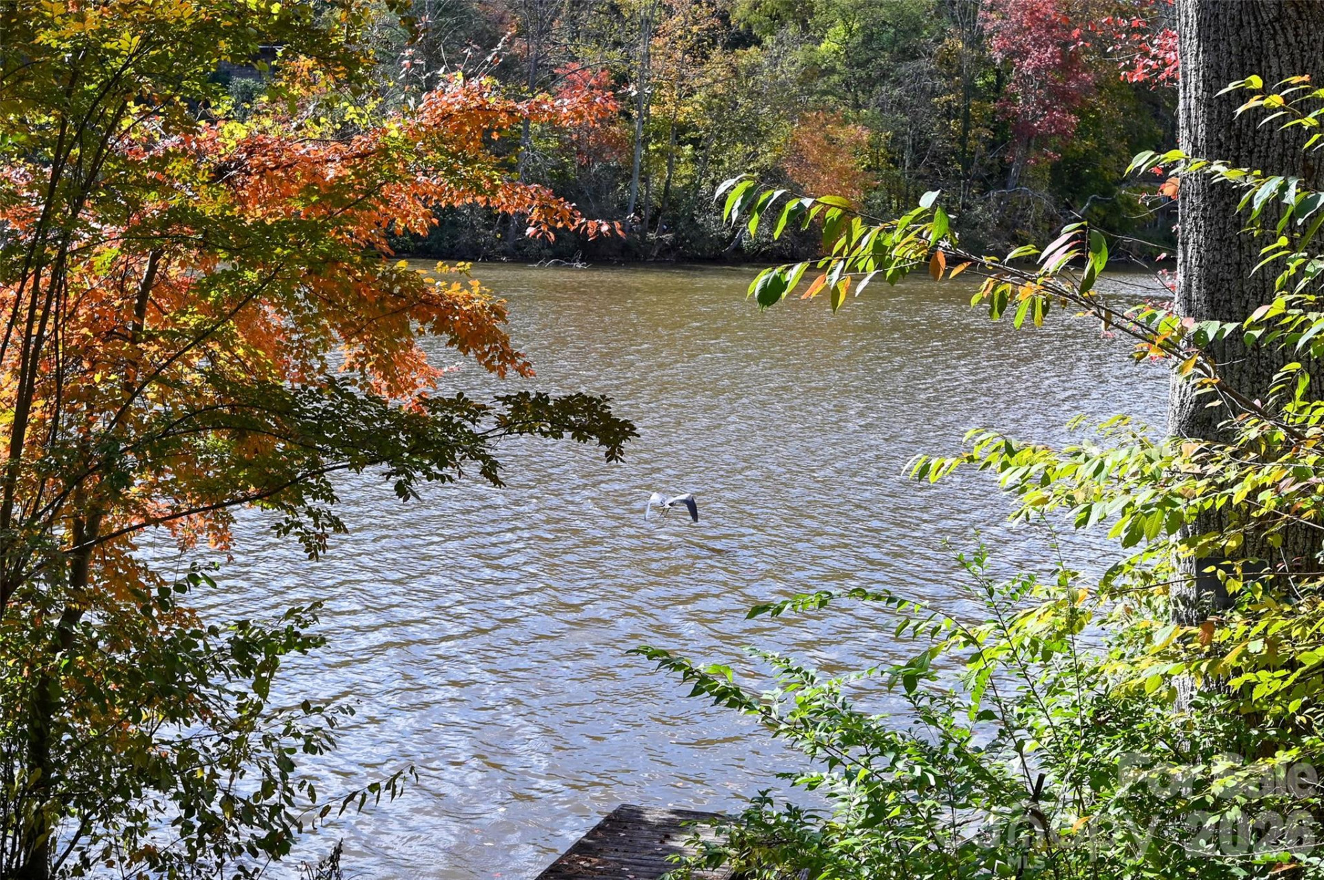 22 Shore Drive - Photo 34