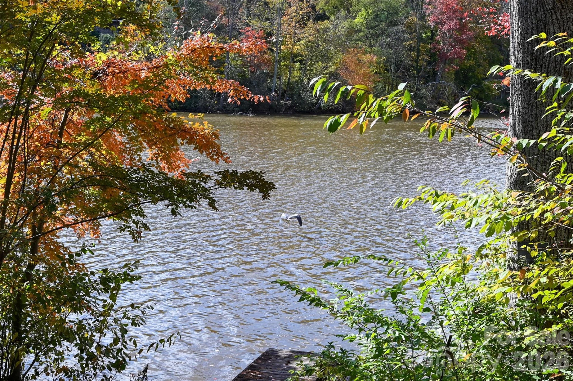 22 Shore Drive - Photo 39