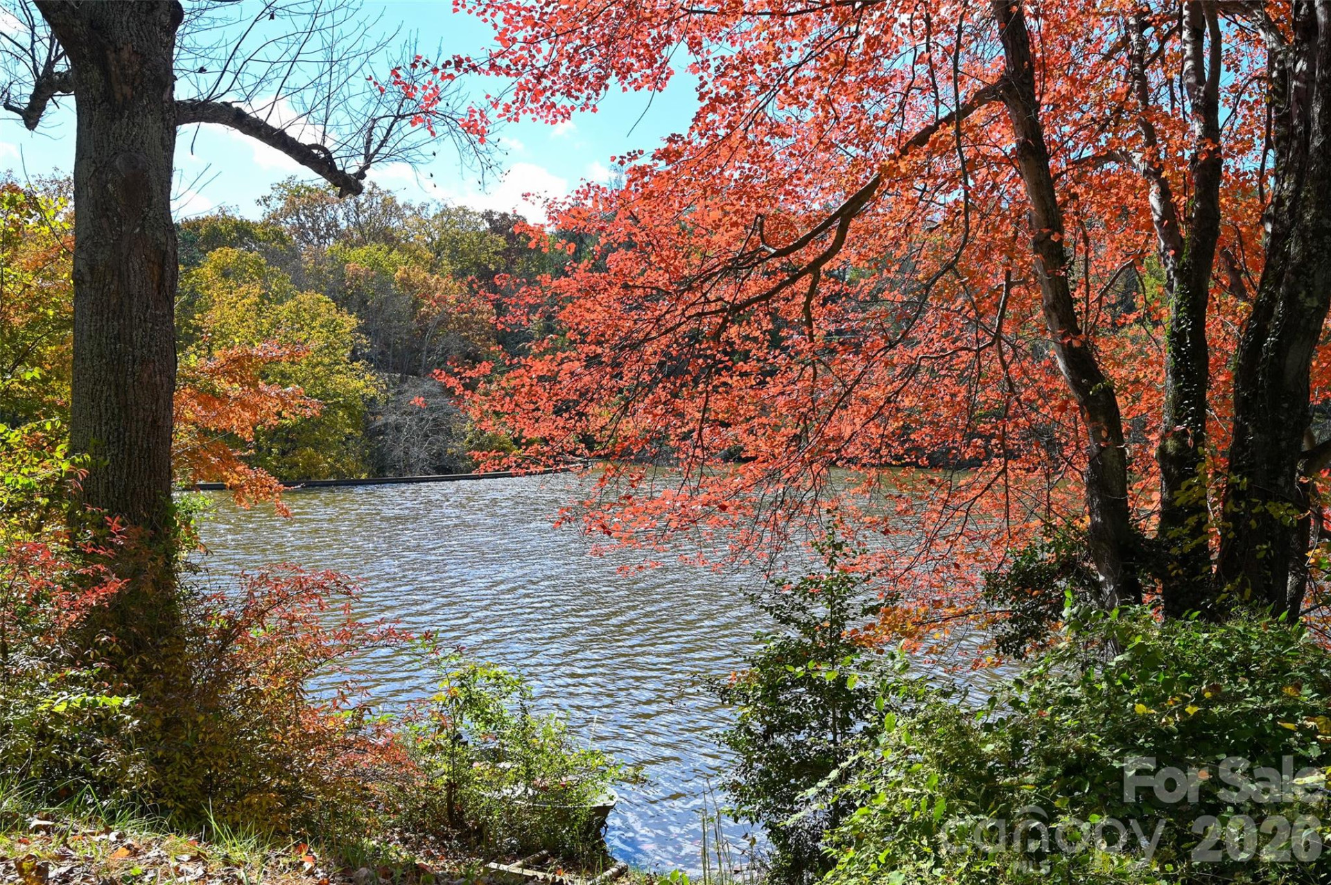 22 Shore Drive - Photo 5