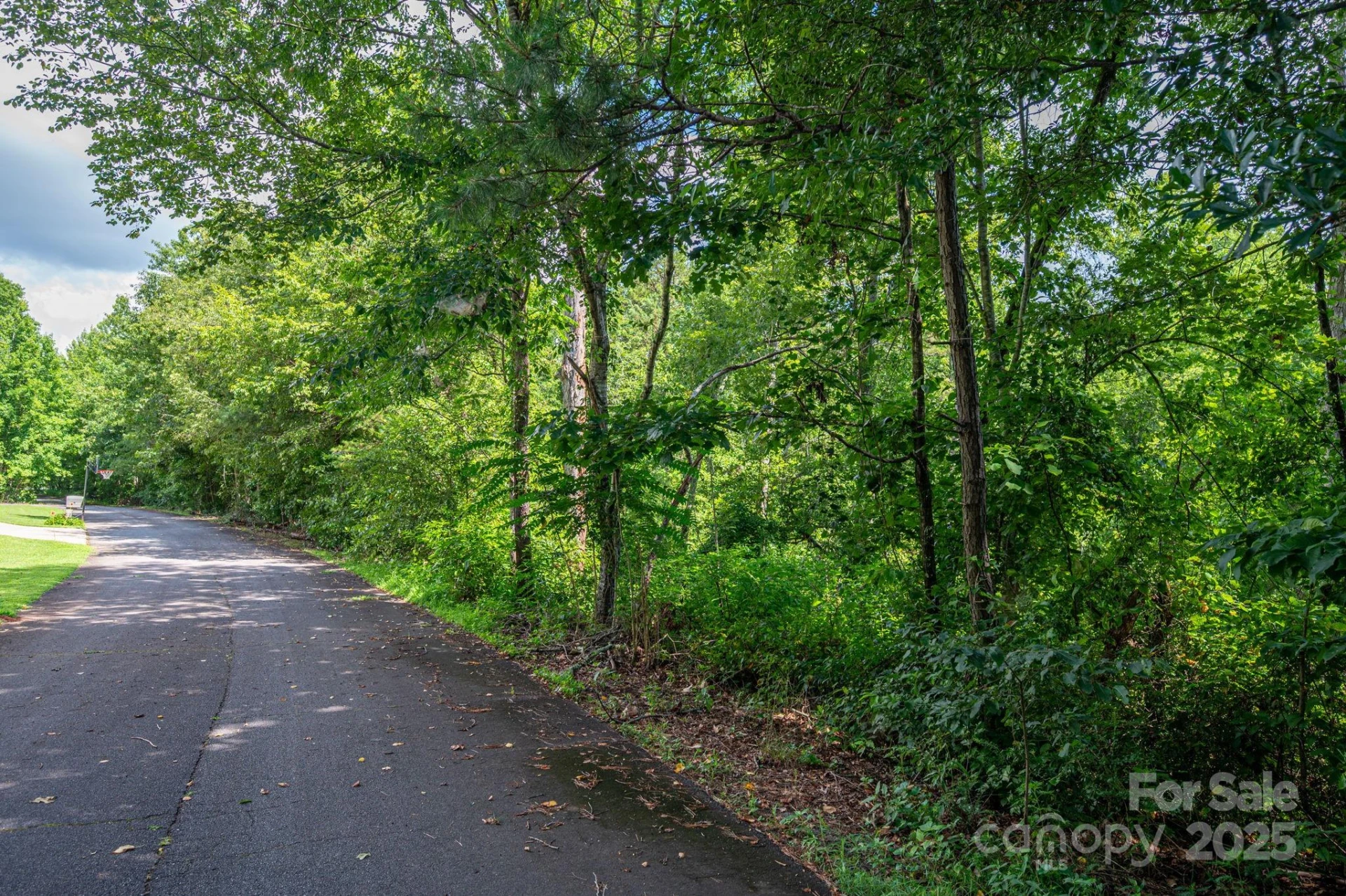 Lot 32 Line Drive - Photo 2