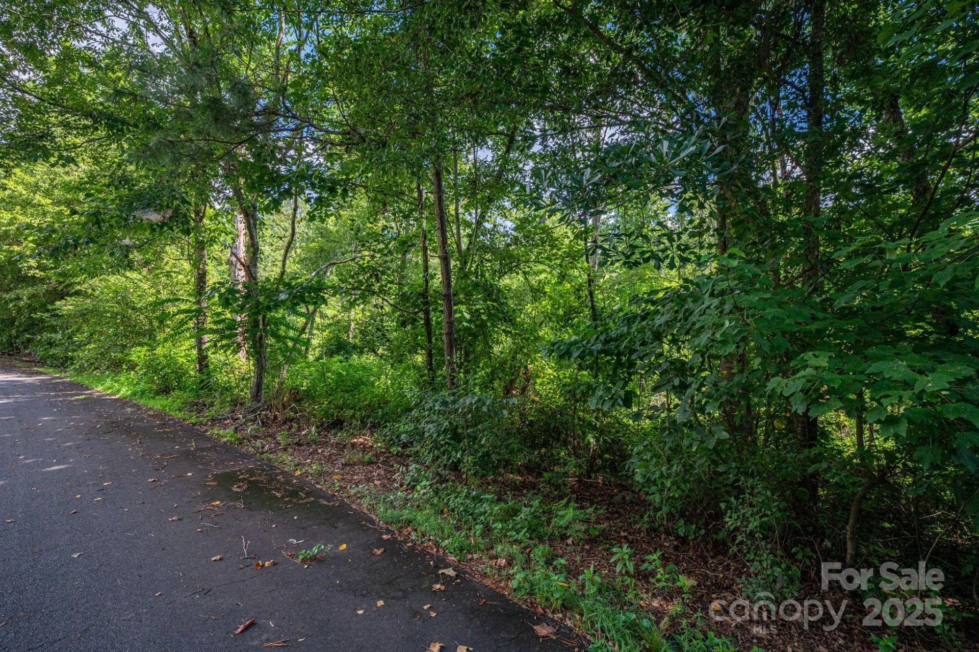 Lot 32 Line Drive - Photo 5