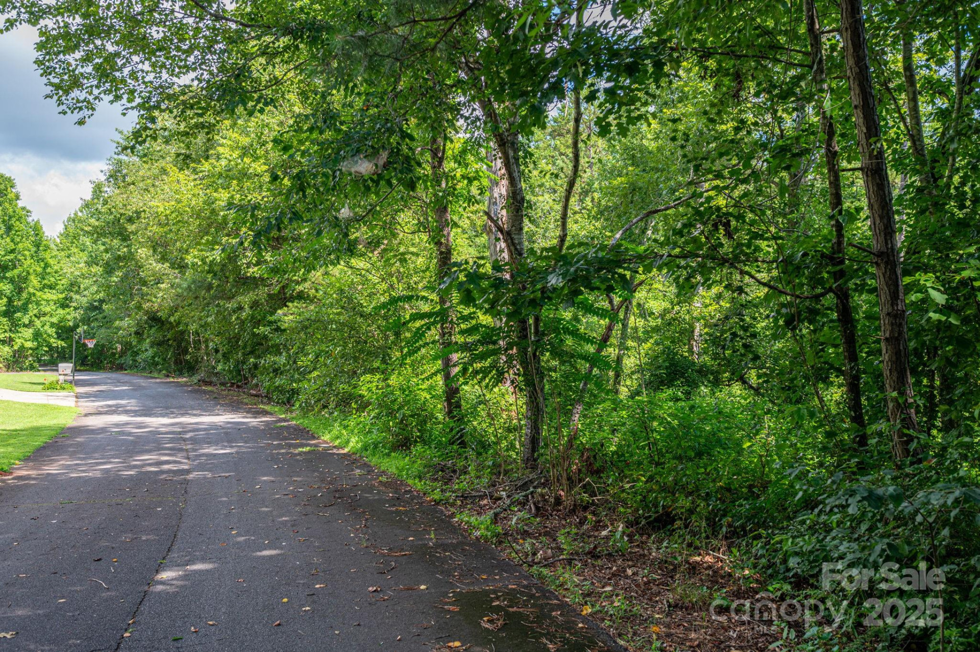 Lot 32 Line Drive - Photo 6