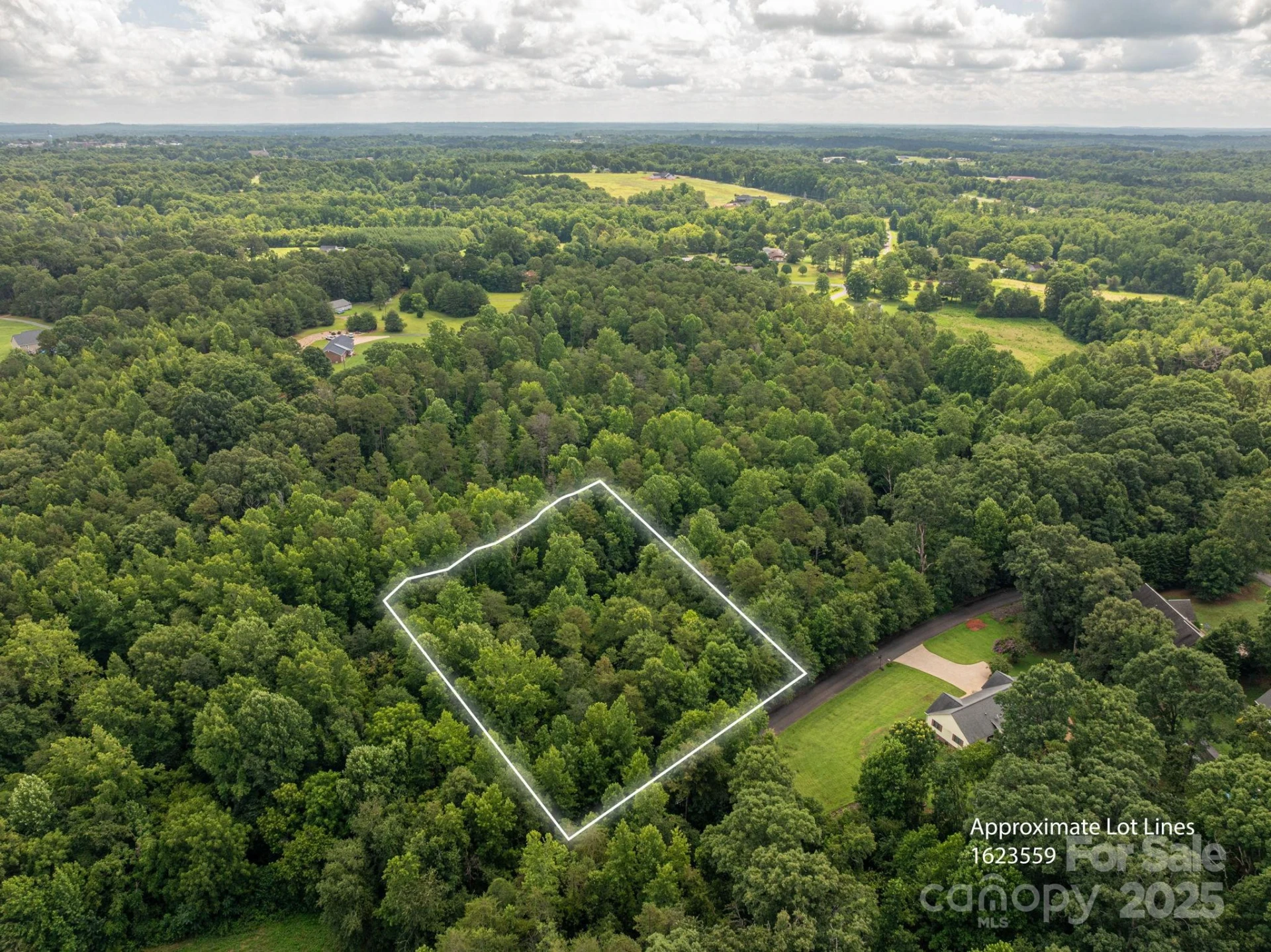 Lot 32 Line Drive - Photo 8