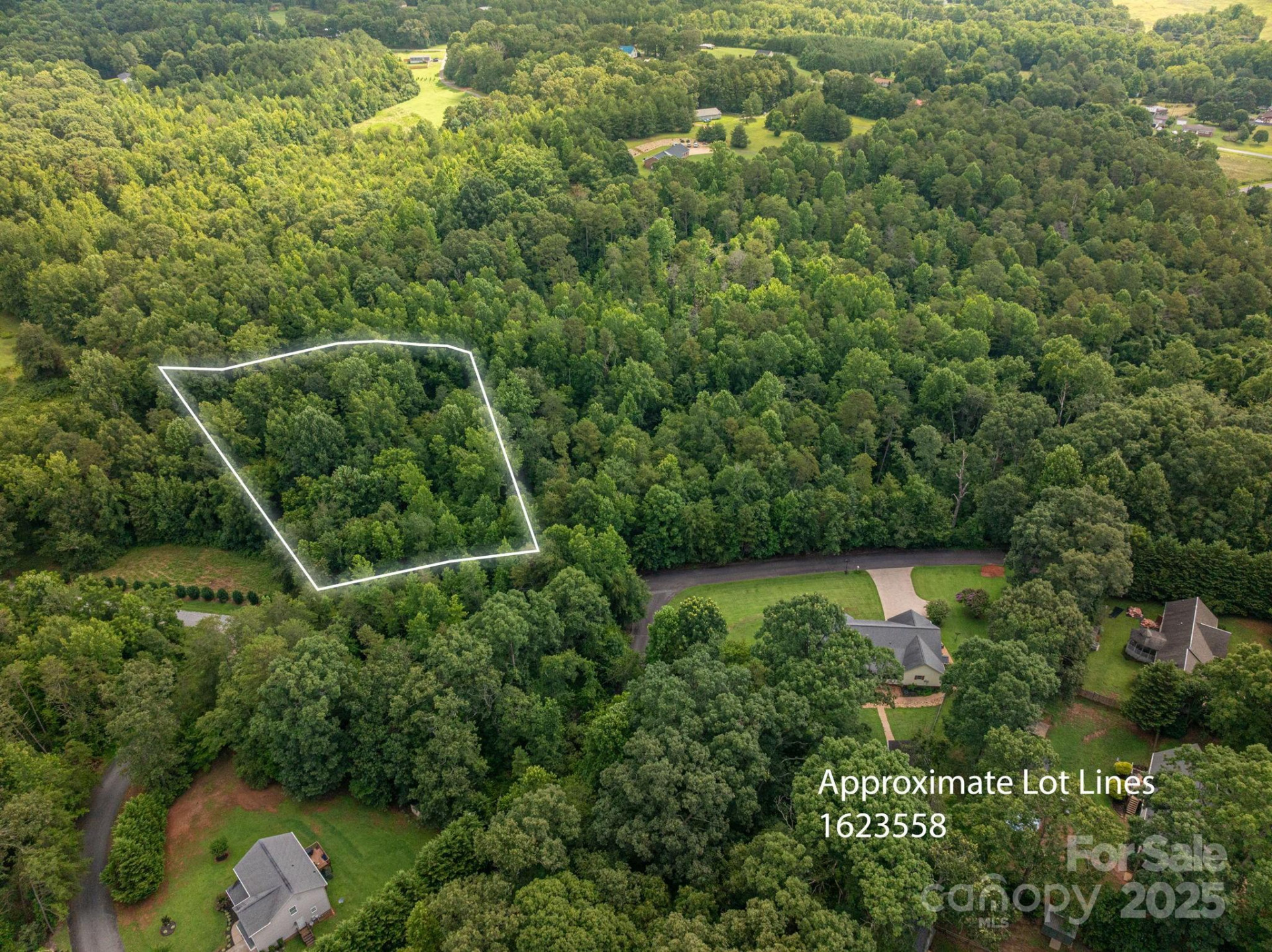 Lot 31 Line Drive - Photo 2