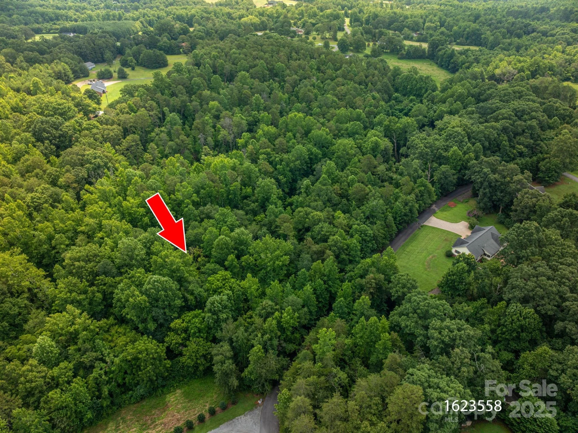 Lot 31 Line Drive - Photo 3