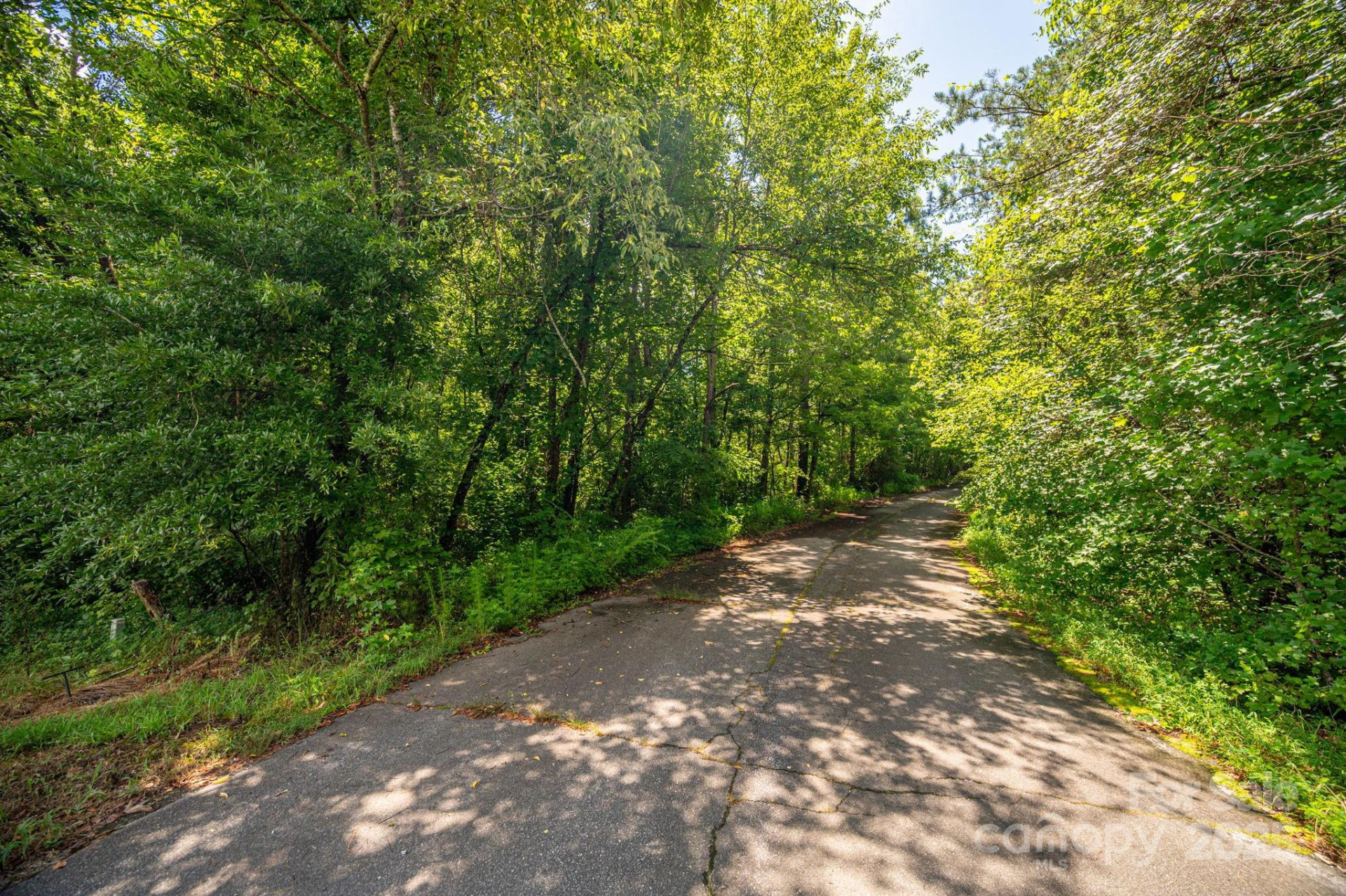 Lot 31 Line Drive - Photo 5