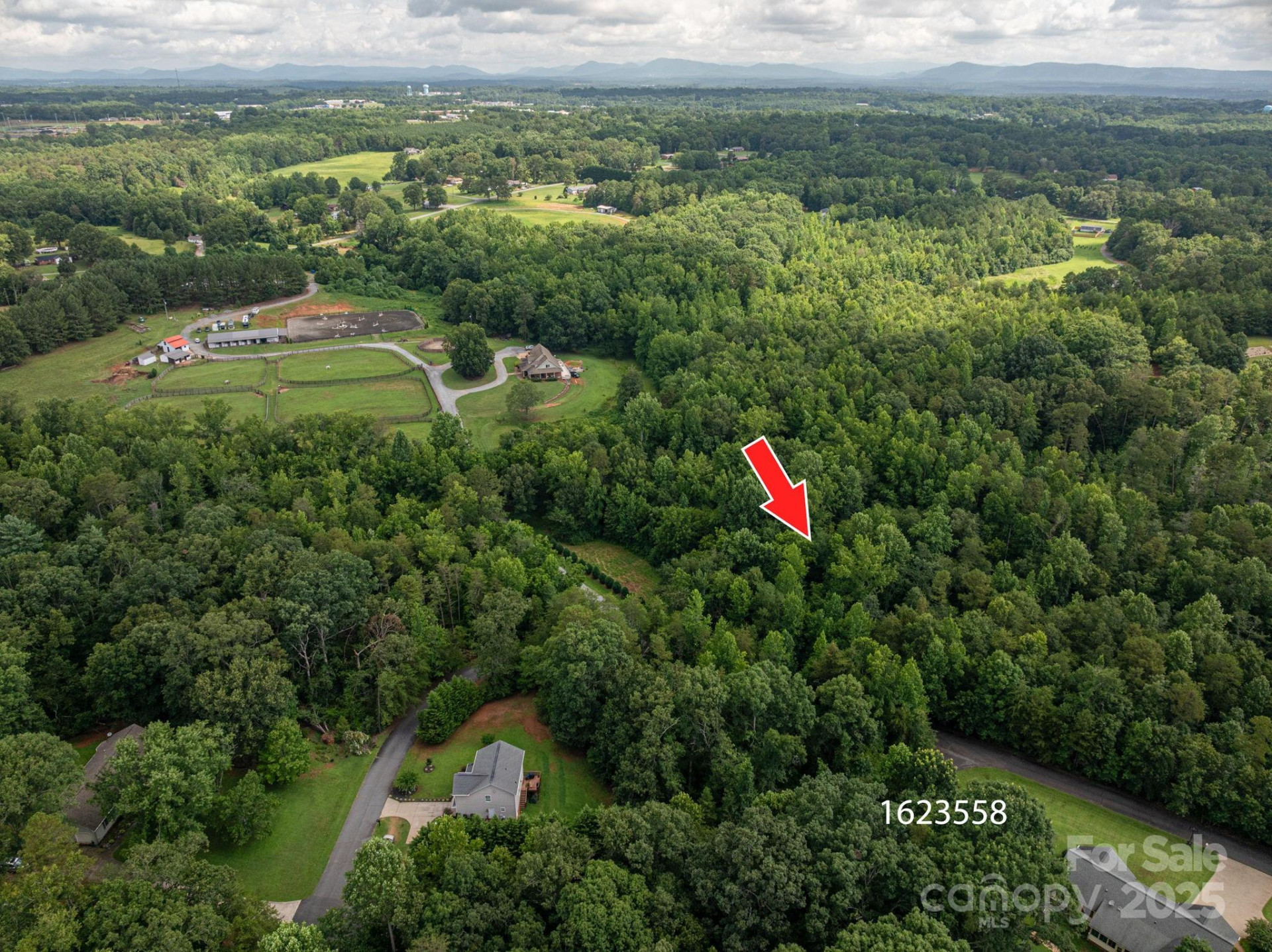 Lot 31 Line Drive - Photo 8