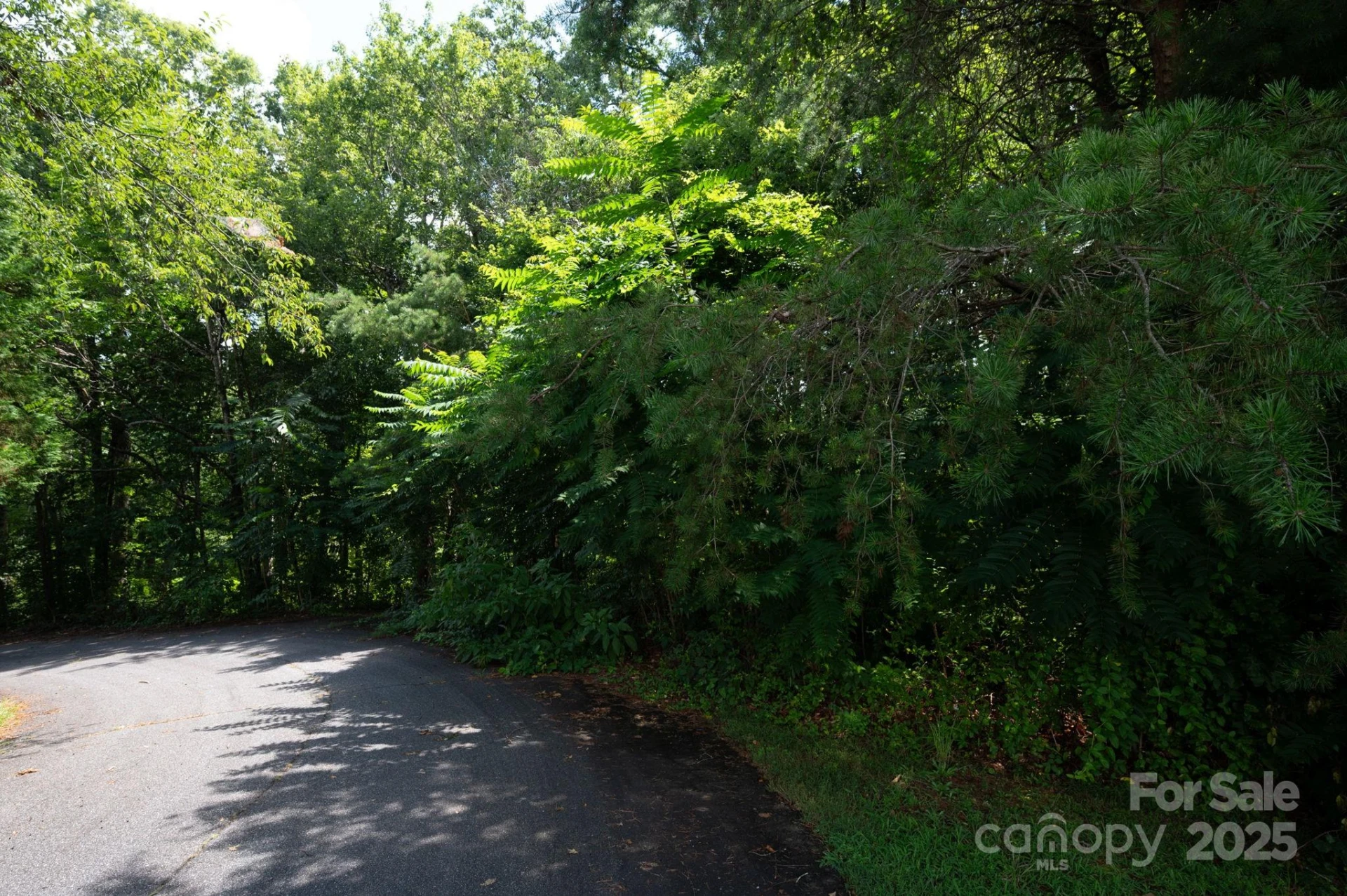 Lot 20 Line Drive - Photo 4