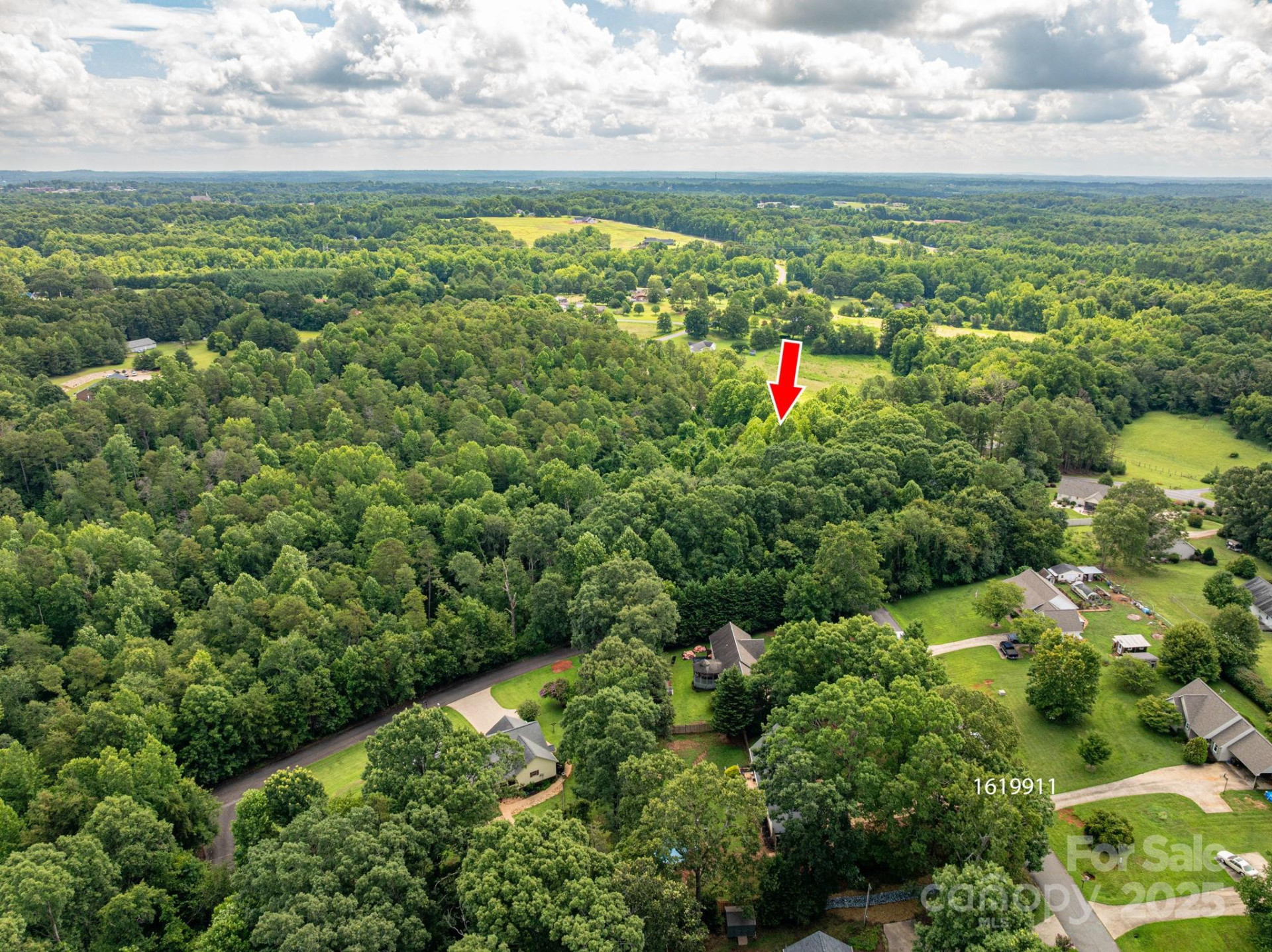 Lot 20 Line Drive - Photo 6