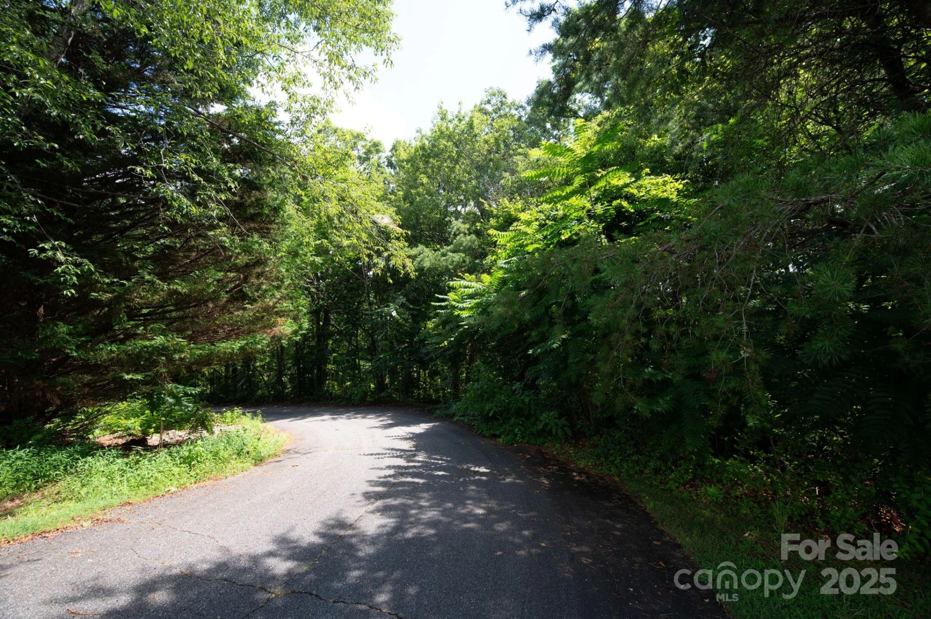 Lot 20 Line Drive - Photo 7