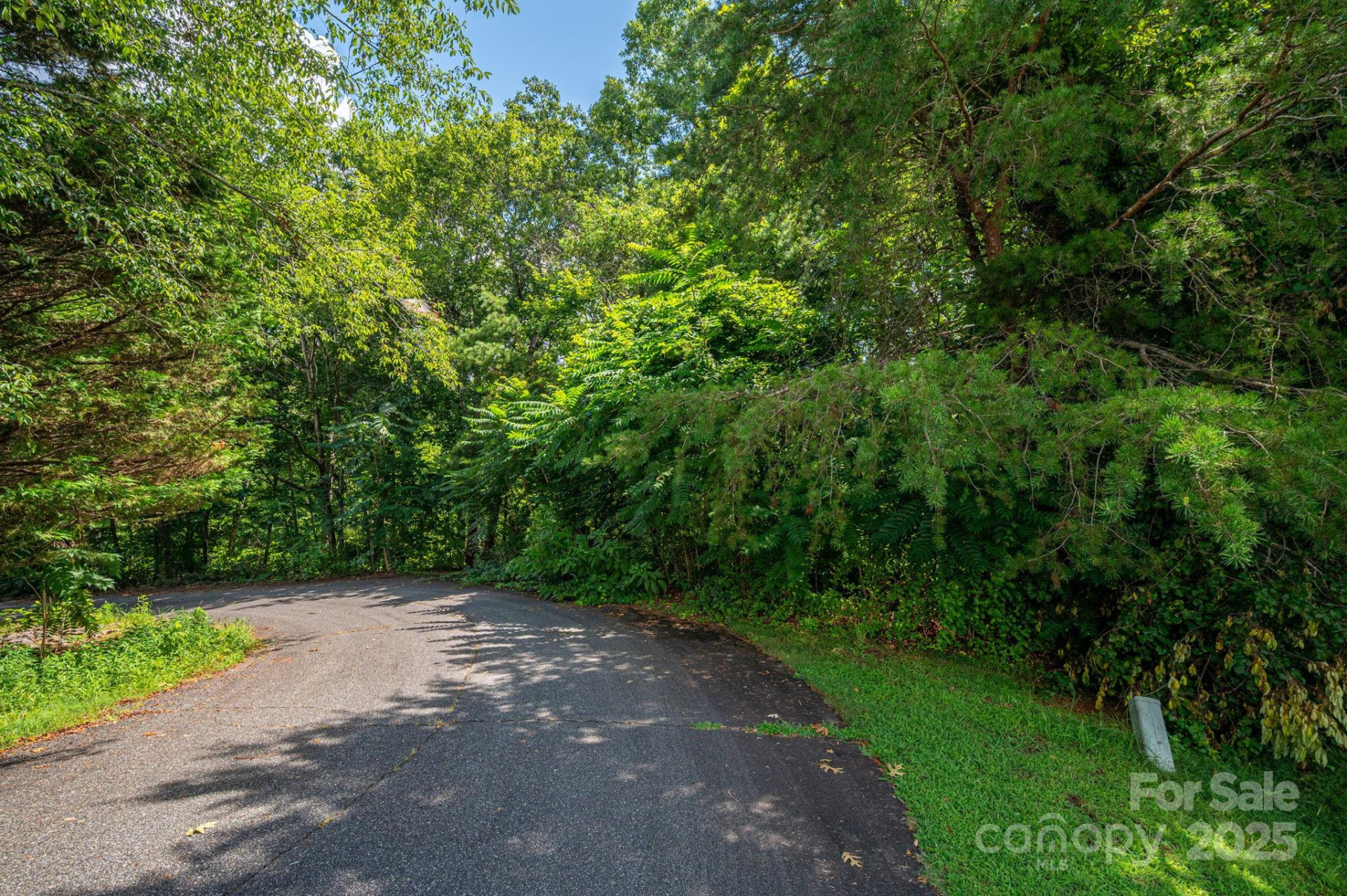 Lot 20 Line Drive - Photo 8