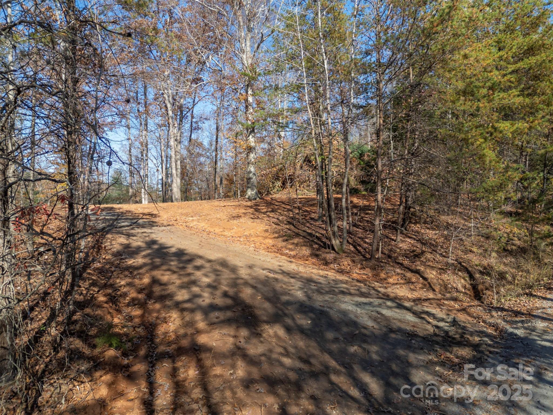 145 Stroud Mountain Trail #85