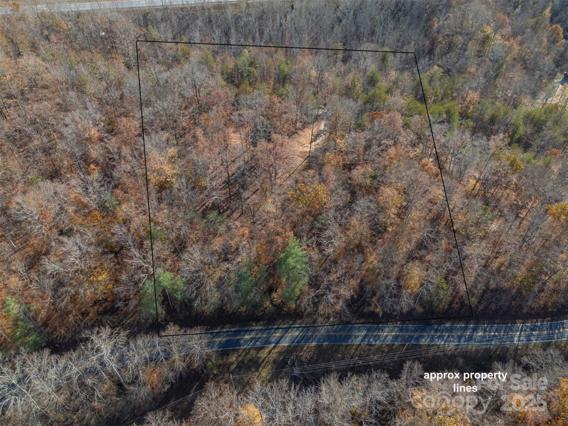 145 Stroud Mountain Trail #85 - Photo 12