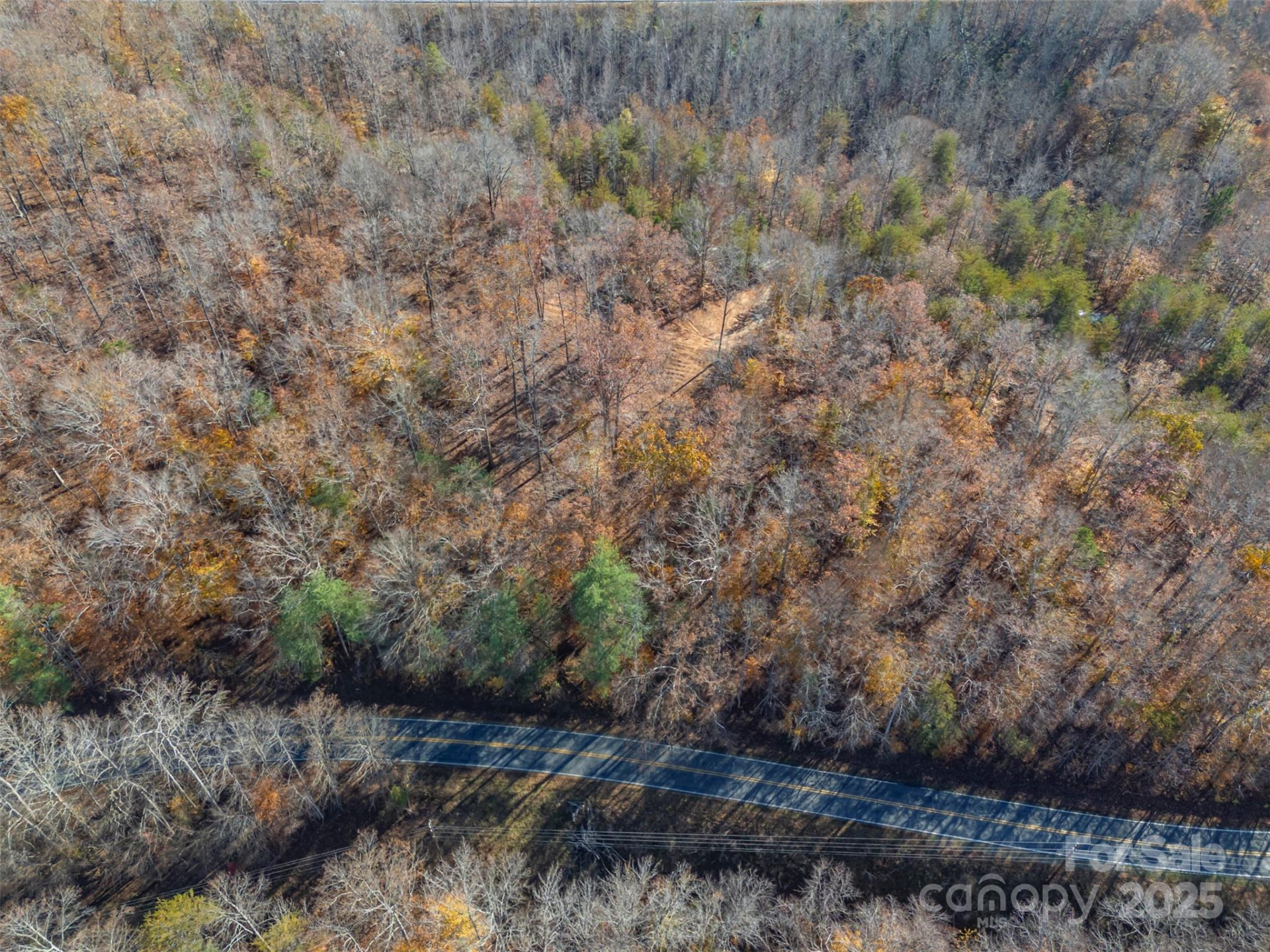 145 Stroud Mountain Trail #85 - Photo 14