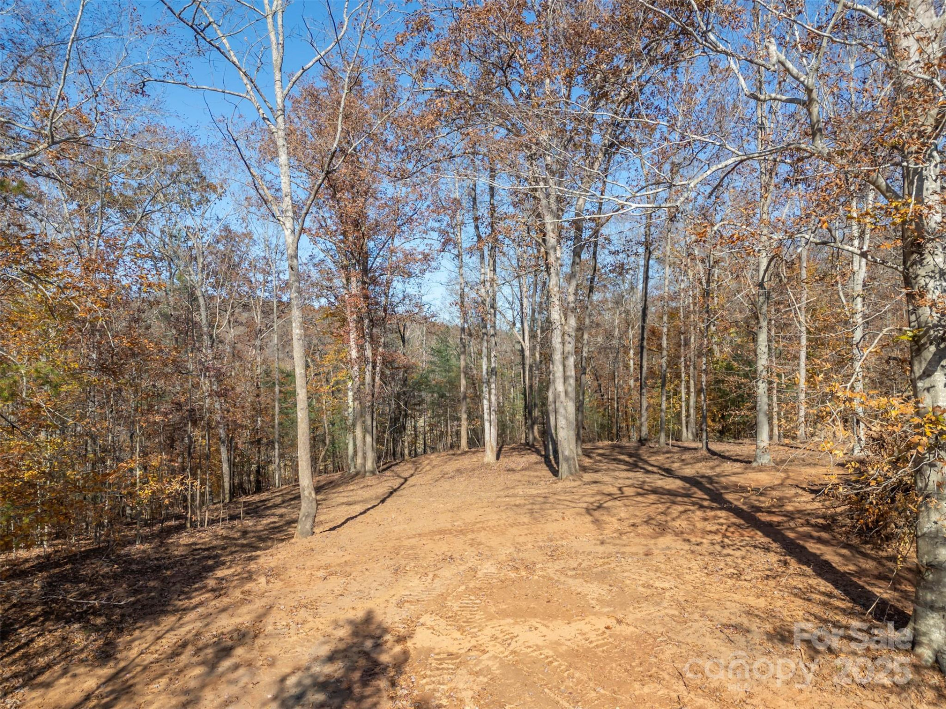 145 Stroud Mountain Trail #85 - Photo 3